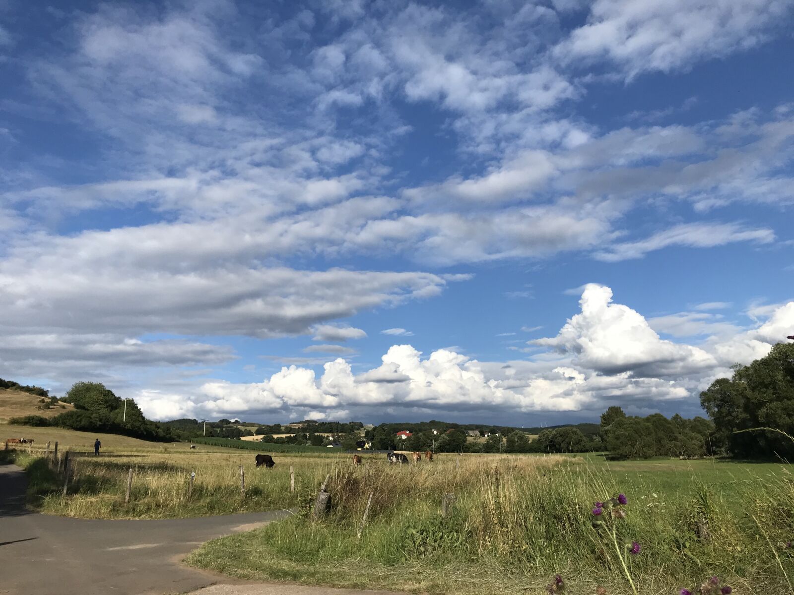iPhone 7 back camera 3.99mm f/1.8 sample photo. Landscape, eifel, nature photography