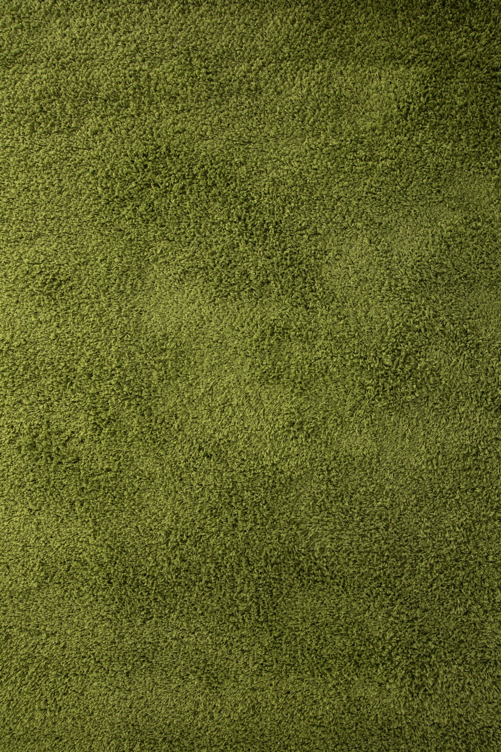 Canon EOS 5D Mark IV sample photo. Carpet, green, texture photography