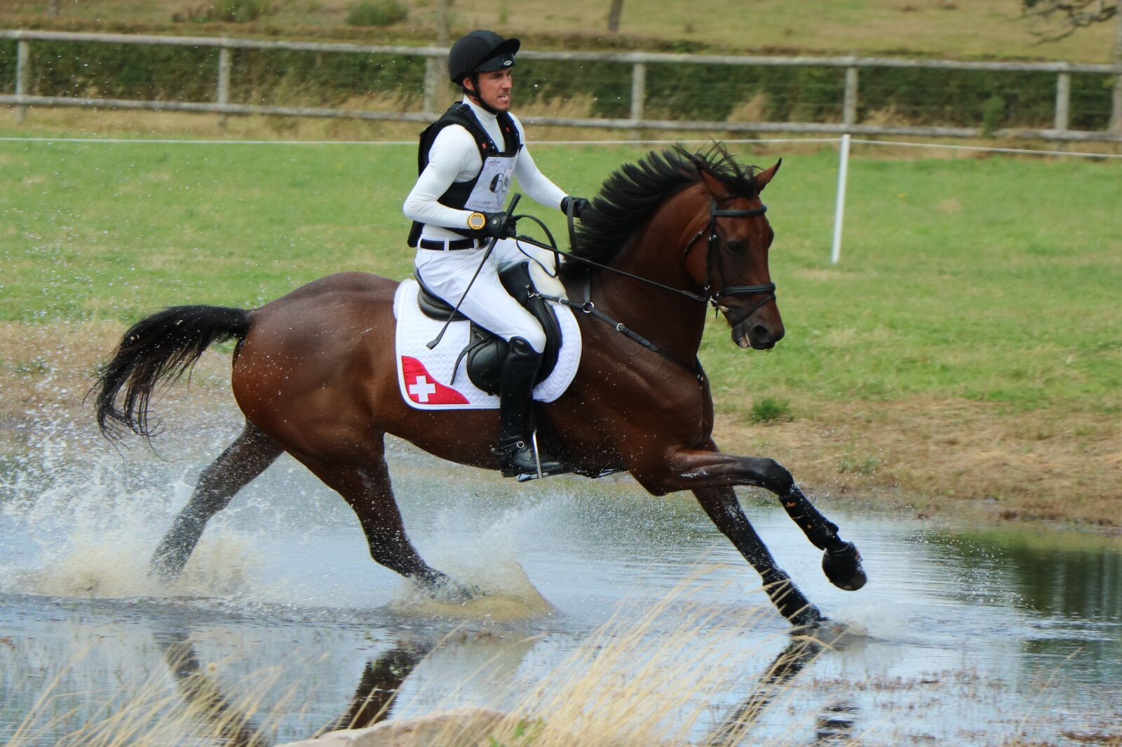 Canon EOS 750D (EOS Rebel T6i / EOS Kiss X8i) sample photo. Haras du pin, national photography