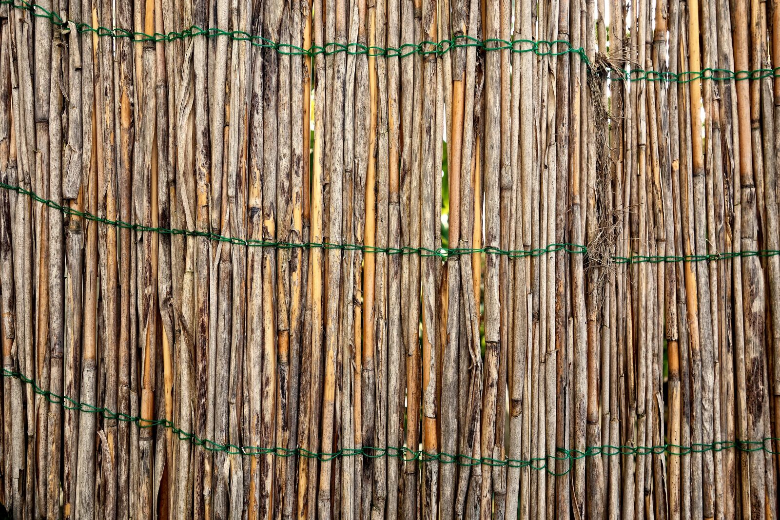 Sony Cyber-shot DSC-RX100 sample photo. Bamboo fence, garden fence photography