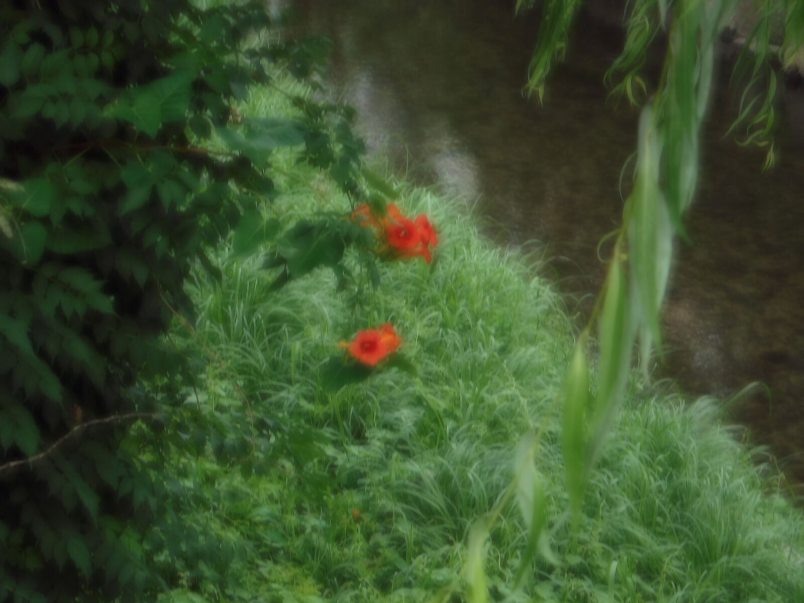 Fujifilm FinePix XP80 XP81 XP85 sample photo