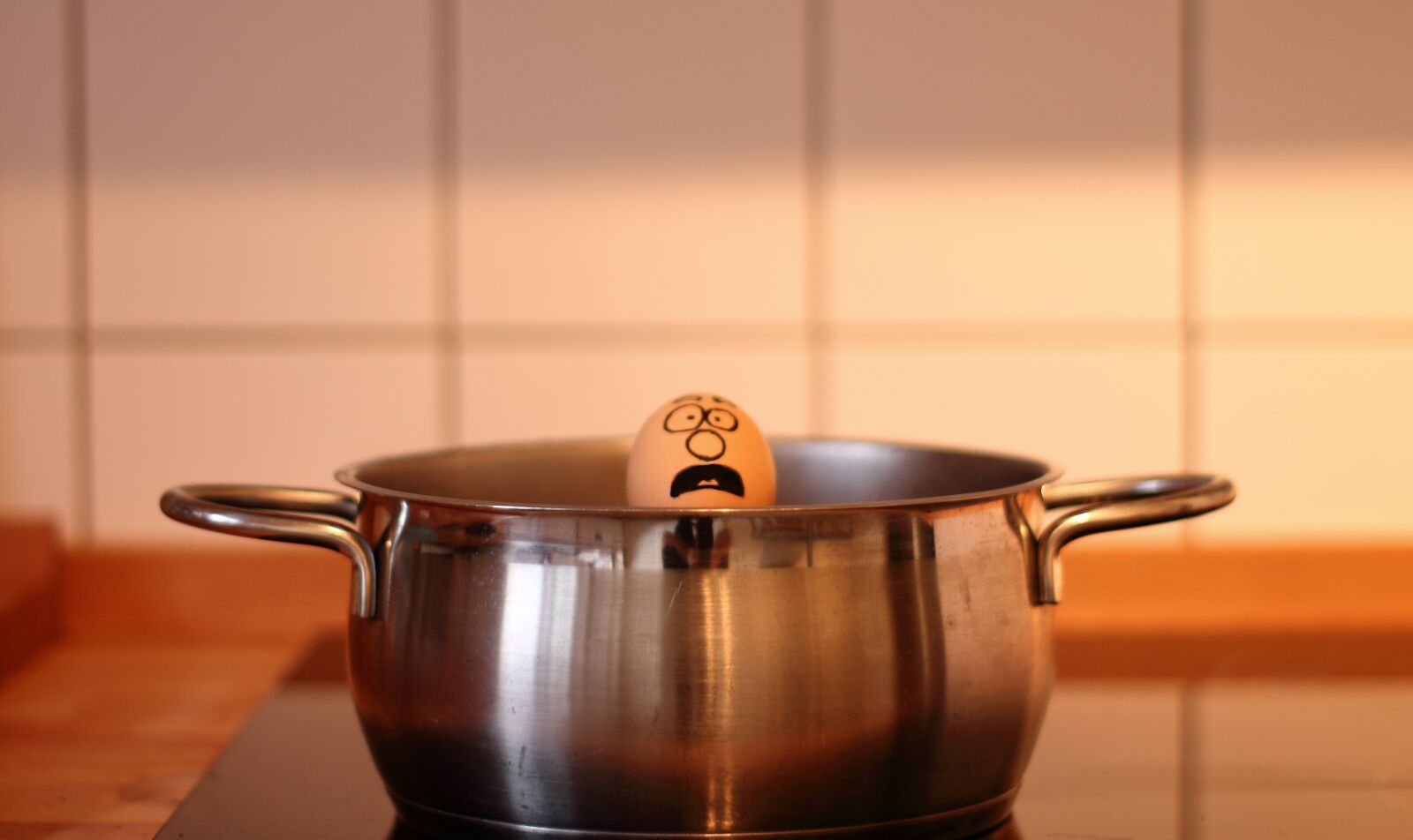 Canon EOS 1100D (EOS Rebel T3 / EOS Kiss X50) sample photo. Egg, cook, help photography