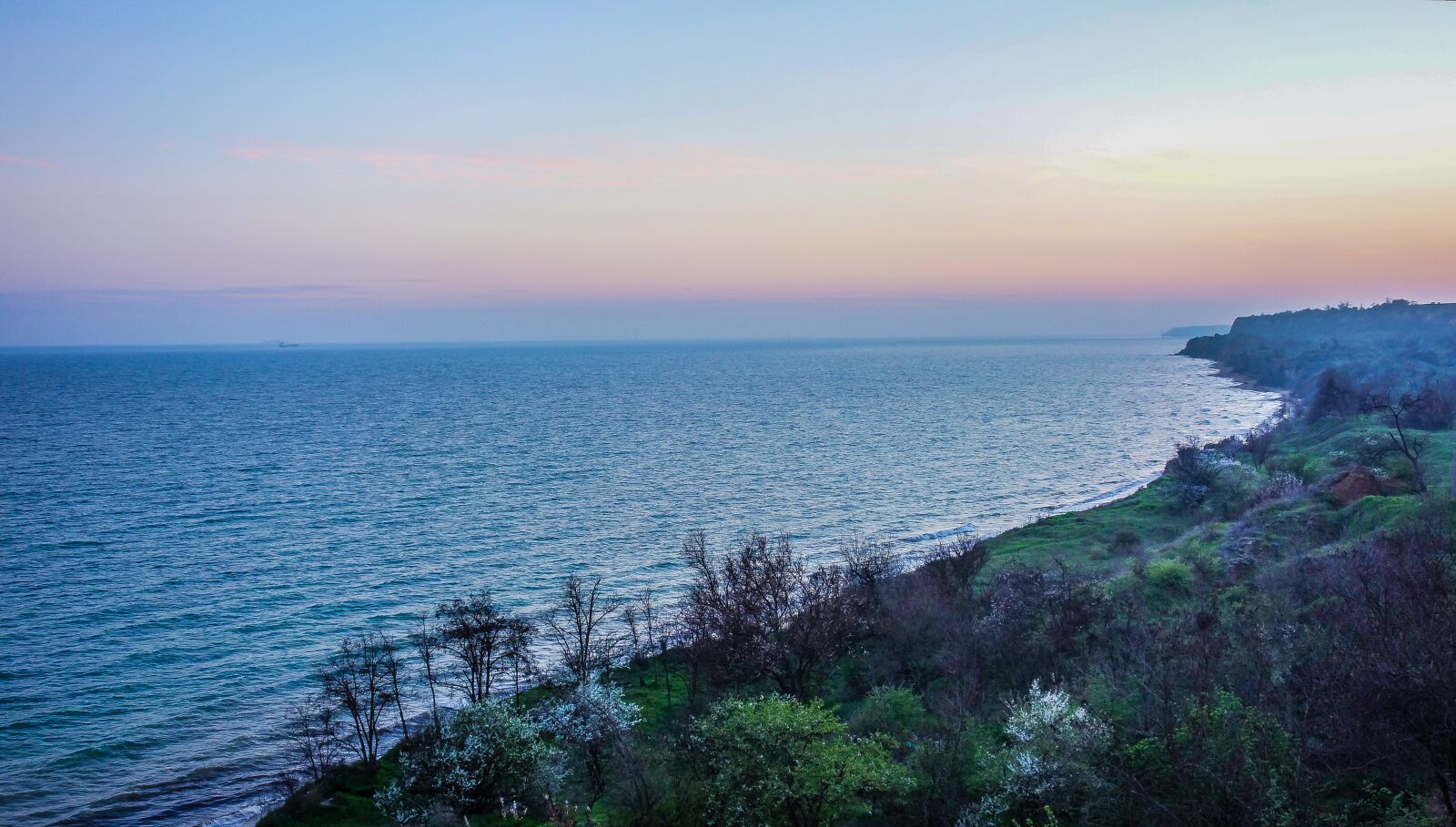 Sony Cyber-shot DSC-RX100 sample photo. Sea, forest, sunset photography