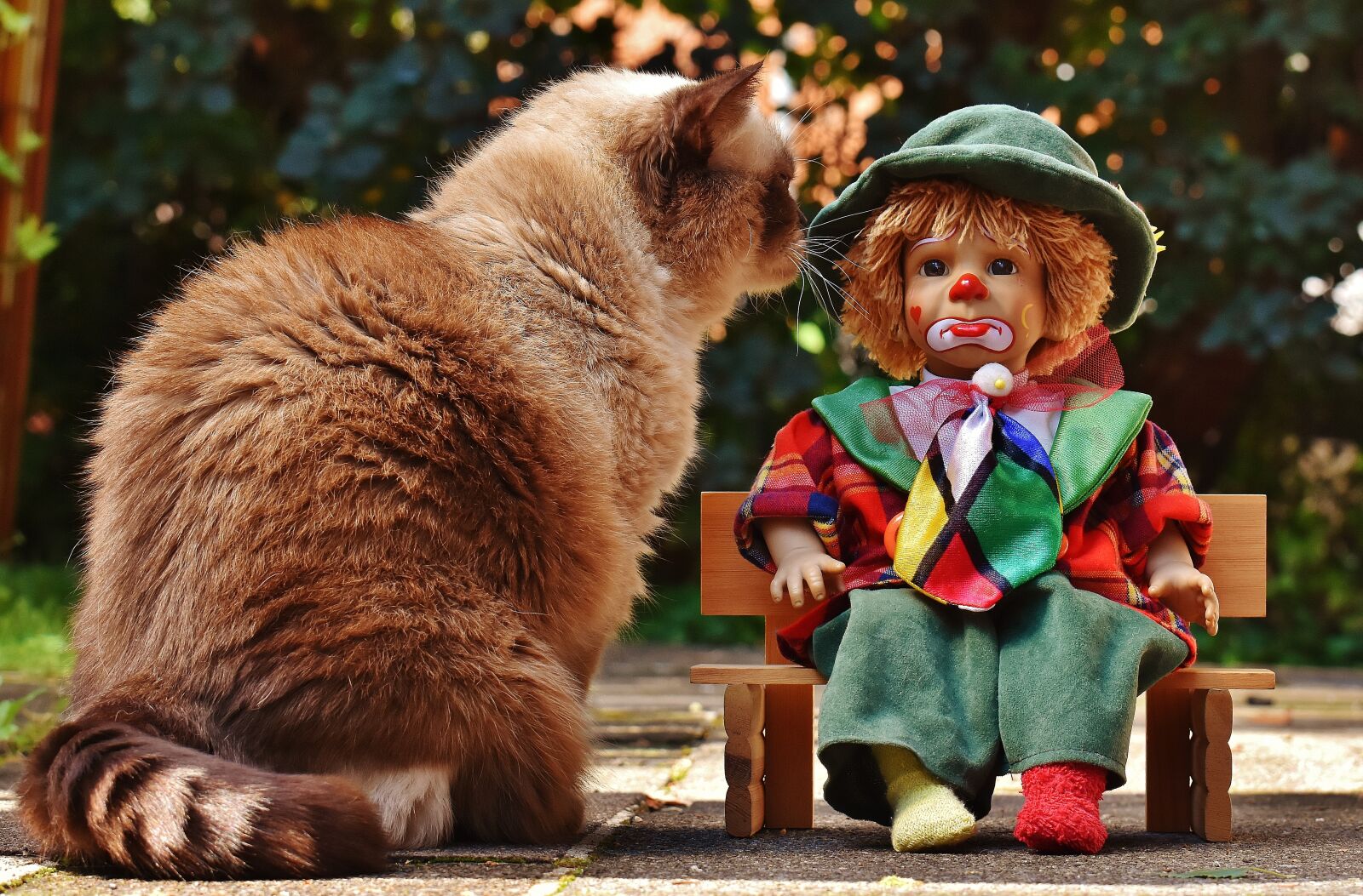 Nikon D7200 sample photo. Doll, clown, sad photography