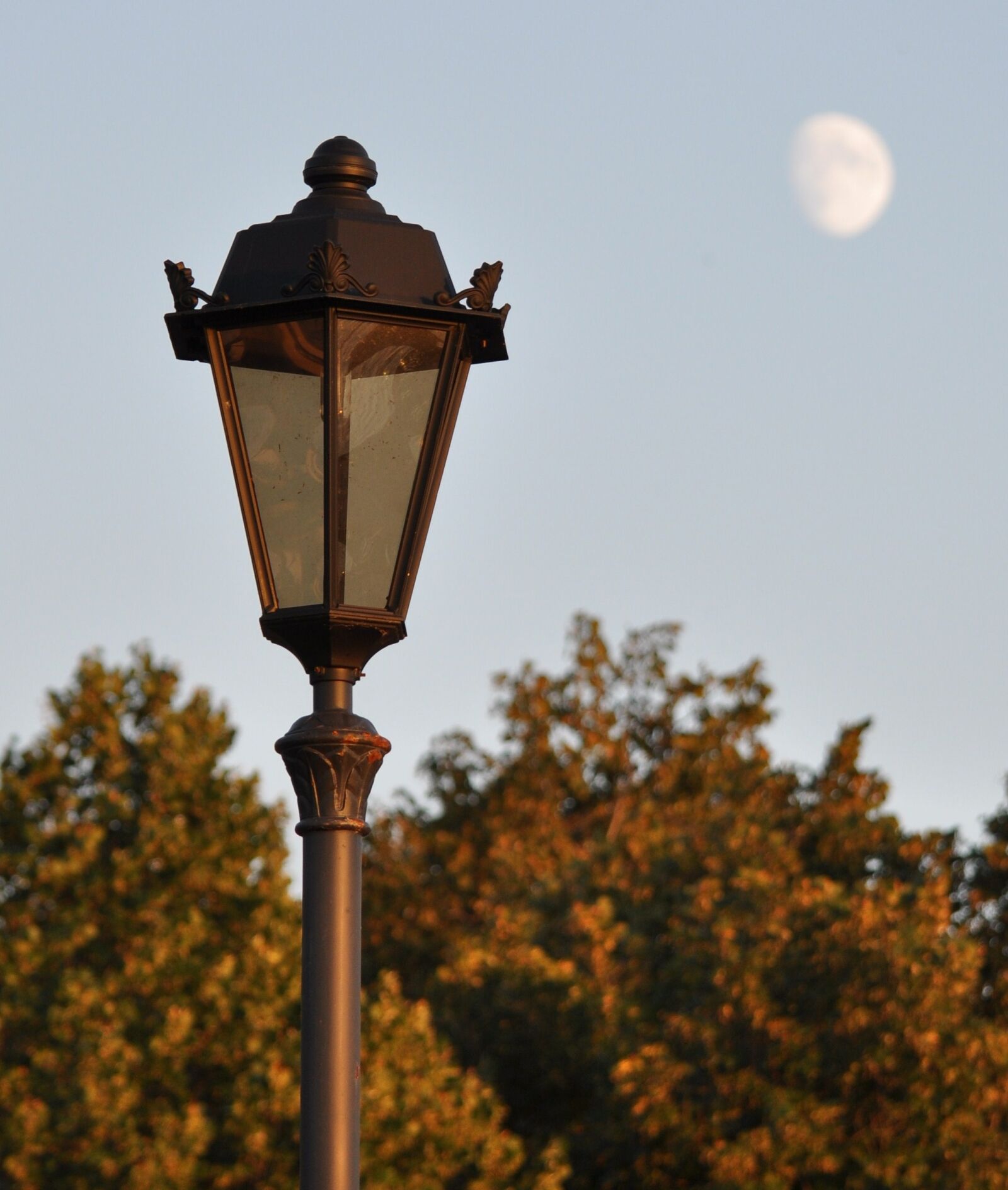 Nikon D90 sample photo. Moon, lantern, samara photography