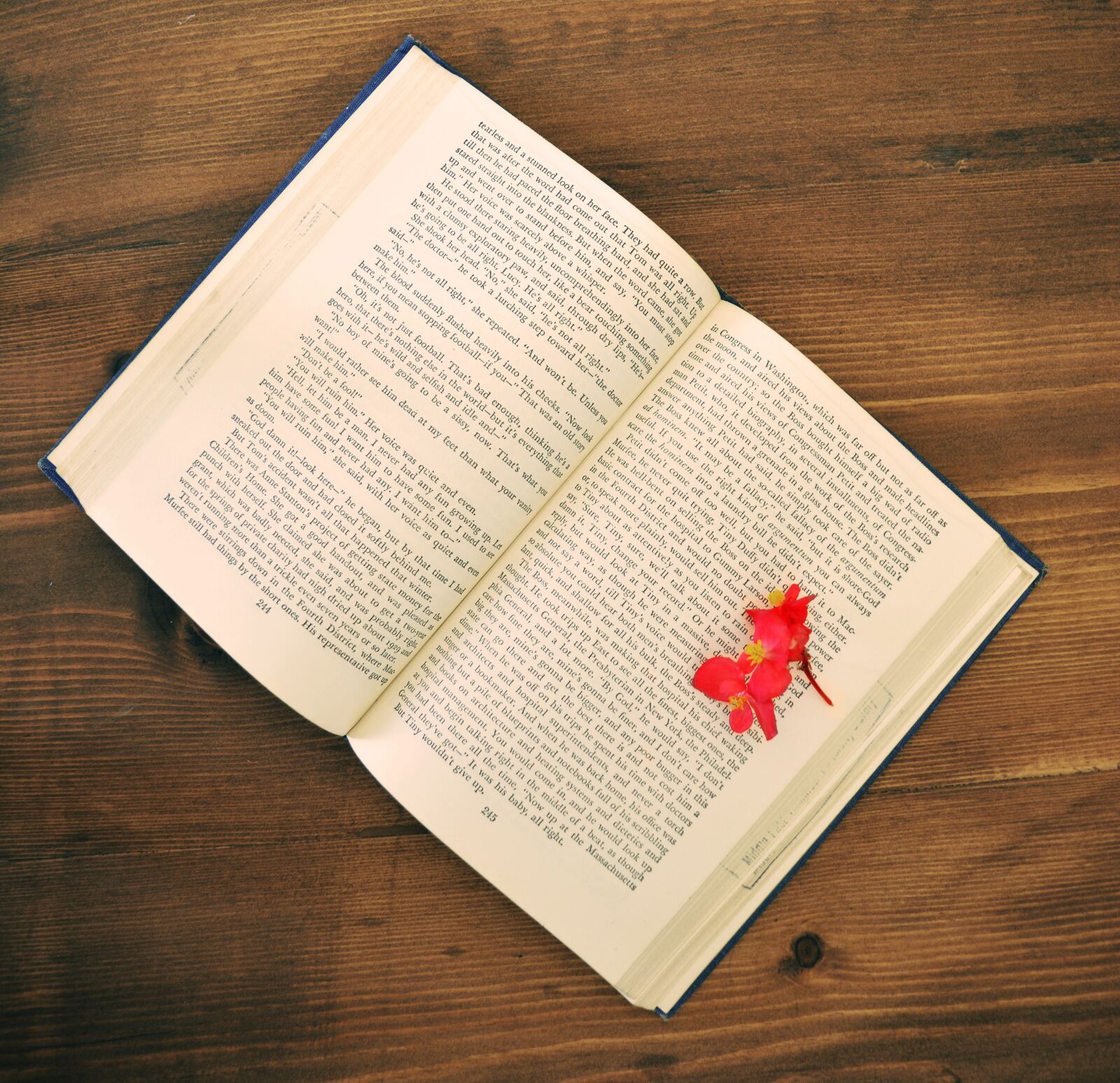 Nikon D7100 sample photo. Book, retro, old photography