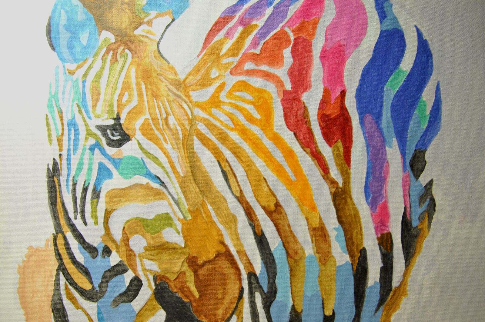 Nikon D90 sample photo. Zebra, paint, color photography