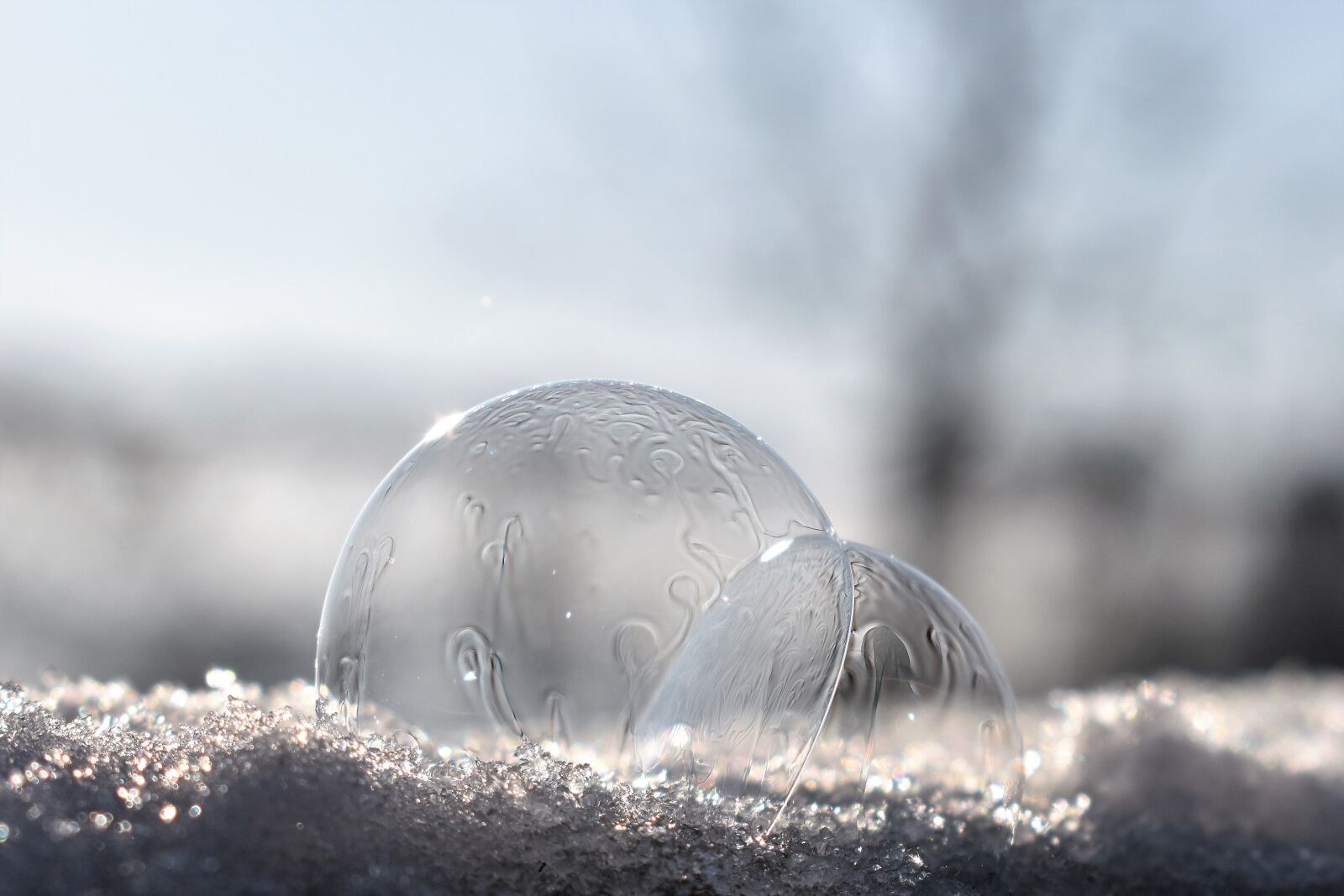 Nikon D5500 sample photo. Soap bubbles, frozen, frozen photography