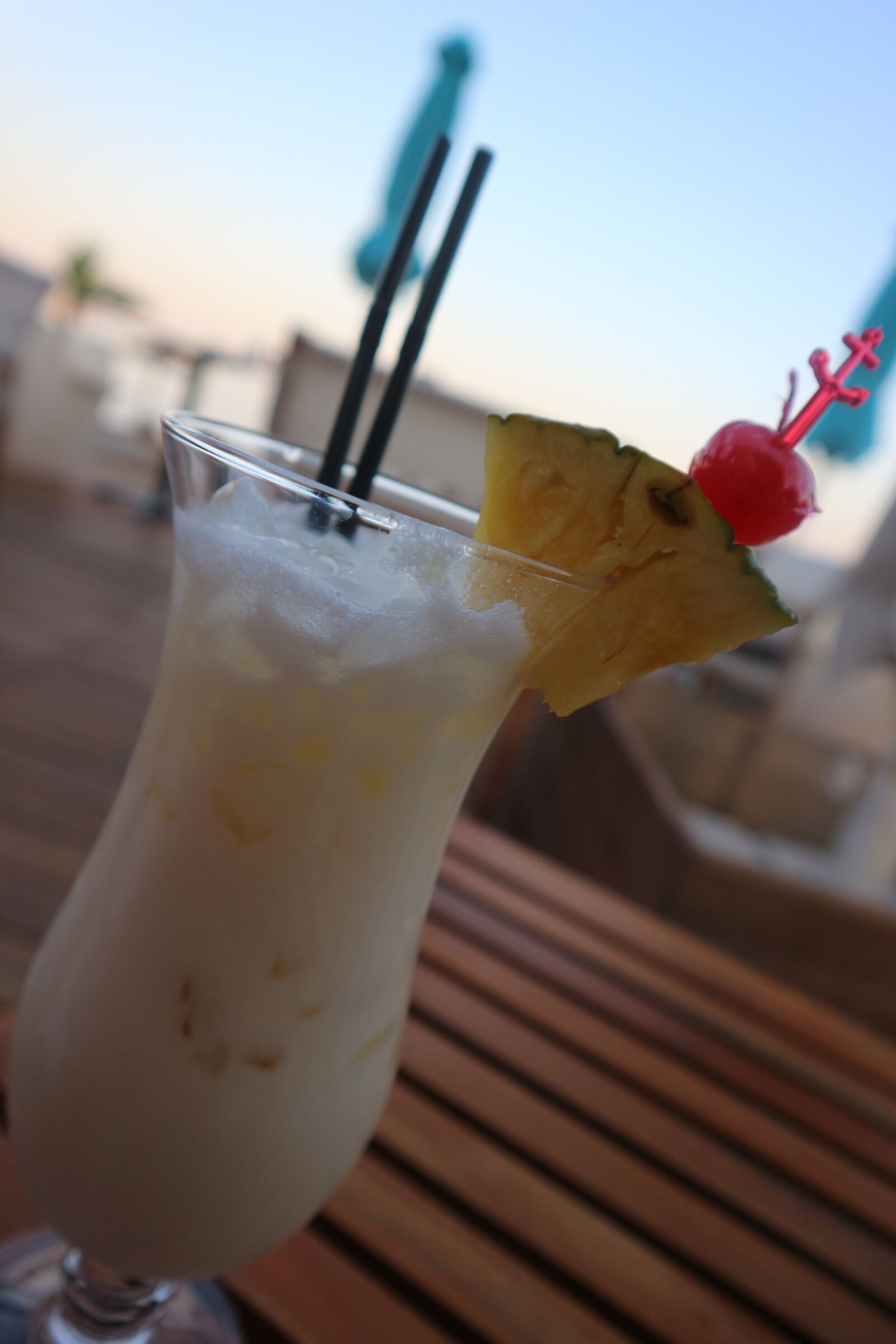 Canon EOS M10 sample photo. Straw, sea, food and photography
