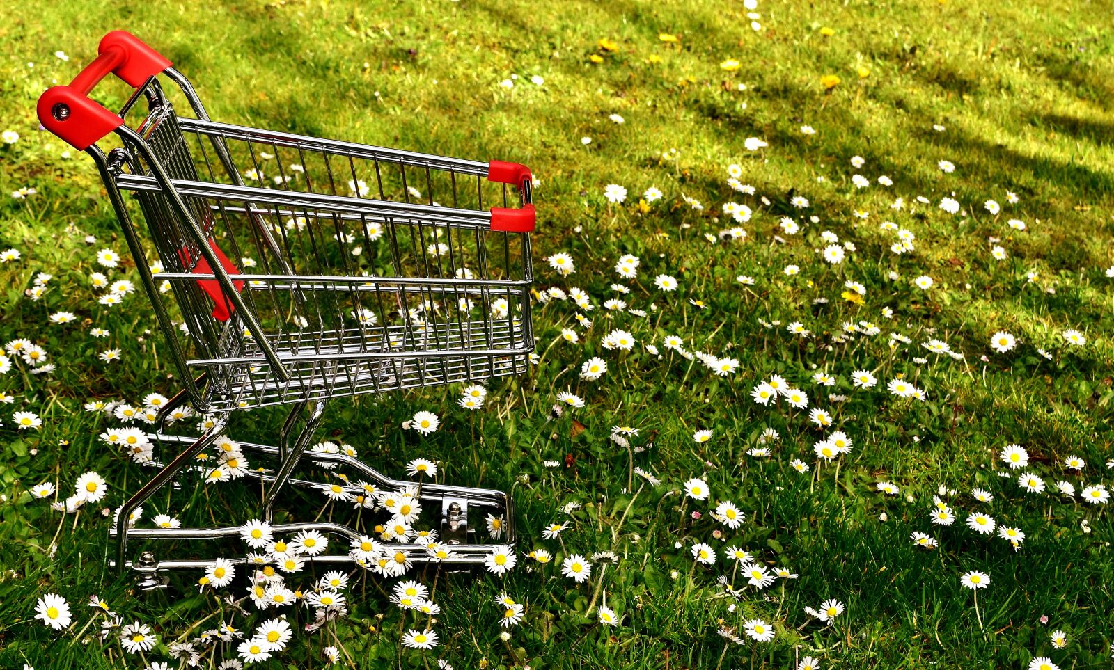Nikon D7200 sample photo. Shopping, shopping cart, sale photography