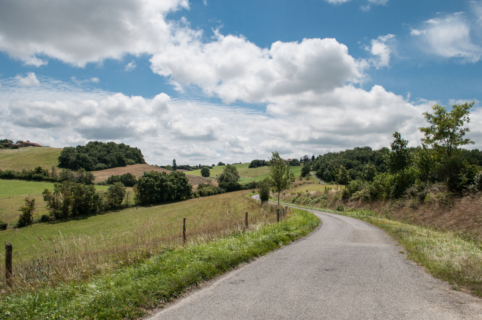 Nikon D5000 sample photo. Landscape, countryside, way, fields photography