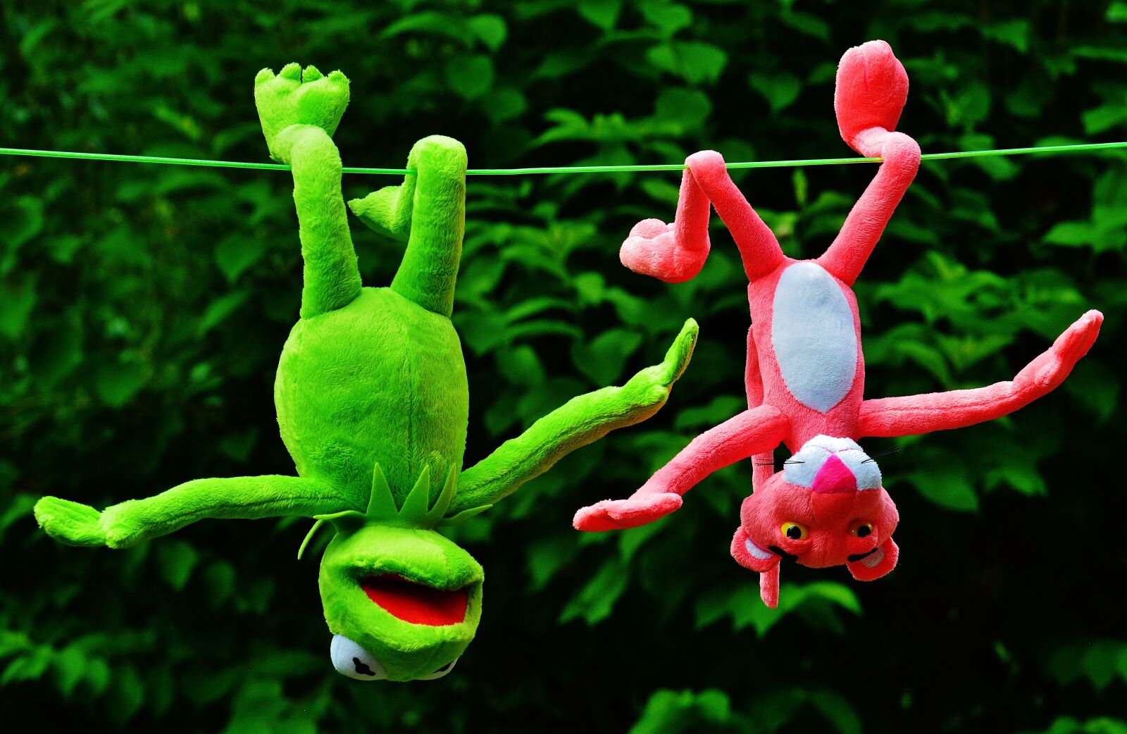 Nikon D3200 sample photo. Hang out, plush toys photography