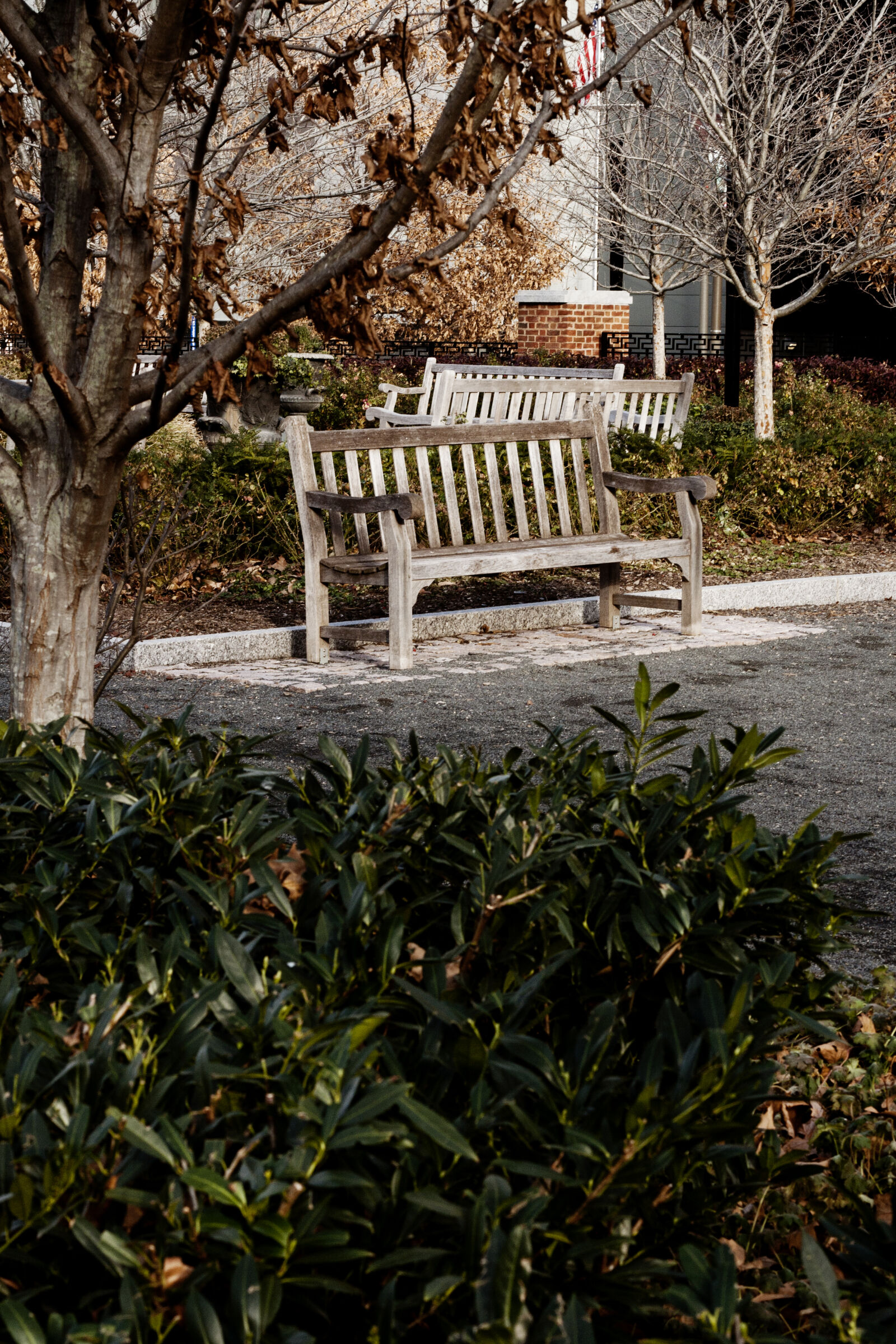 Canon EOS 400D (EOS Digital Rebel XTi / EOS Kiss Digital X) sample photo. Alone, bench, fall, lonely photography