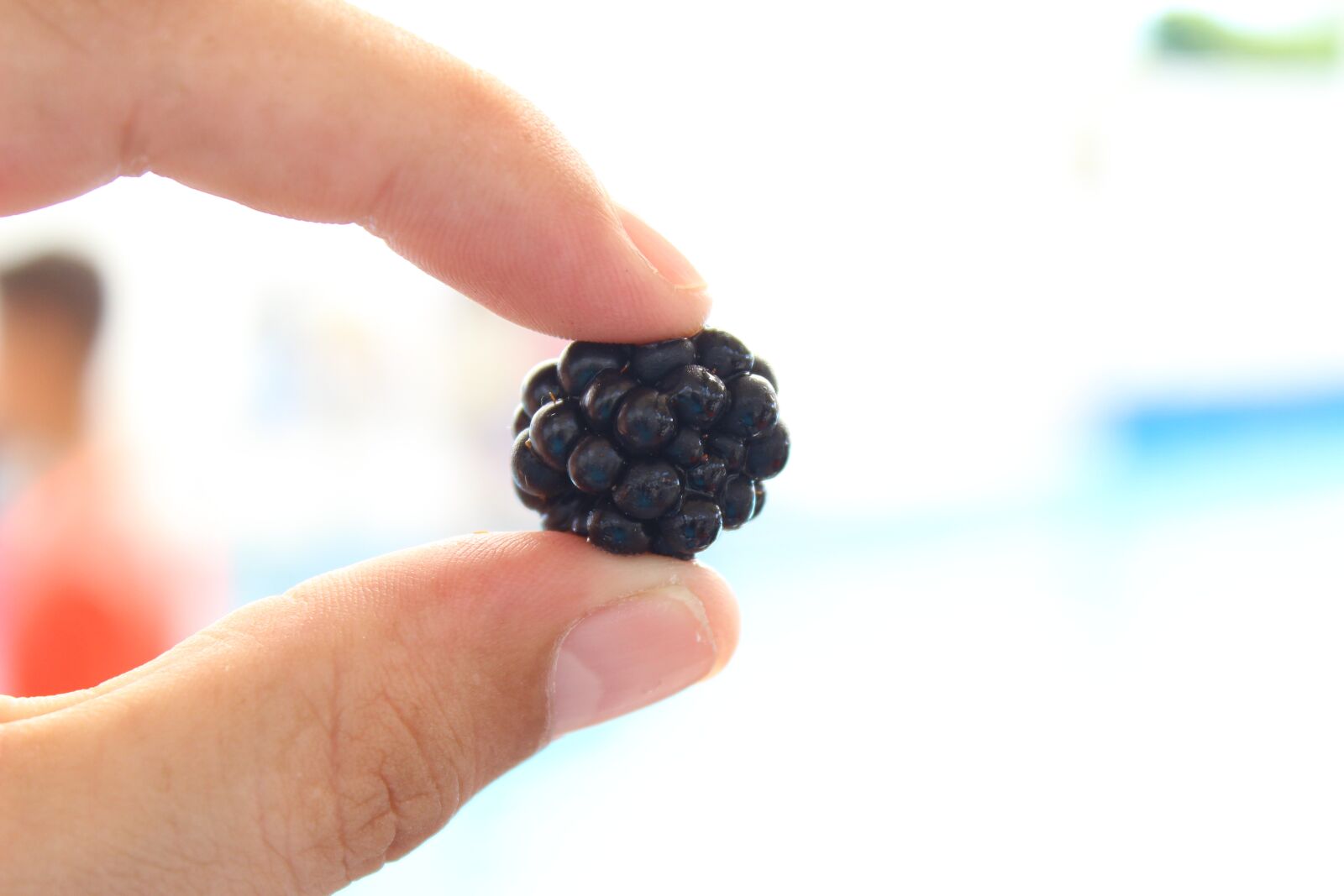 Canon EOS 600D (Rebel EOS T3i / EOS Kiss X5) sample photo. Fruit, blueberry, take photography
