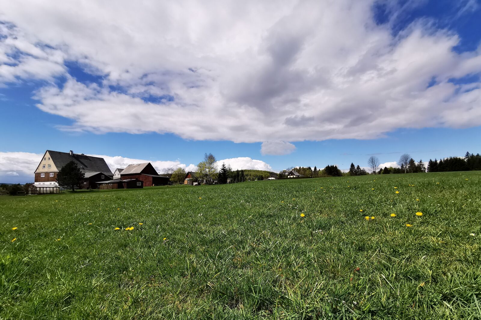HUAWEI P30 Pro sample photo. Deutscheinsiedel, meadow, spring photography