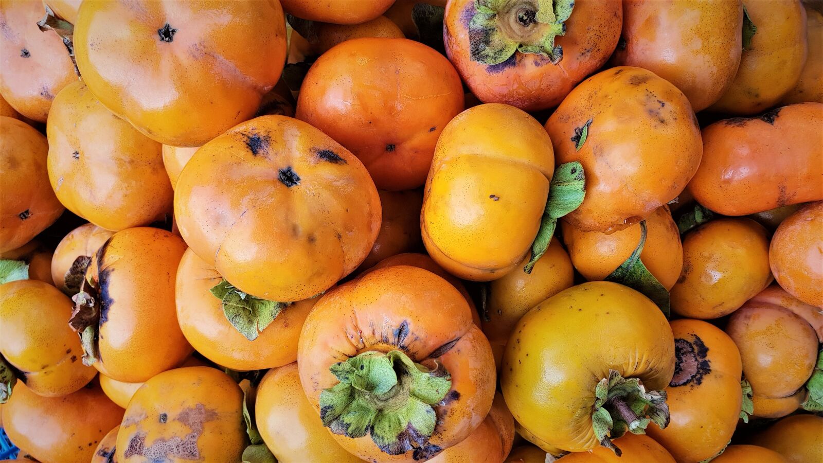 Samsung Galaxy S9 sample photo. Autumn, fruit, persimmon photography