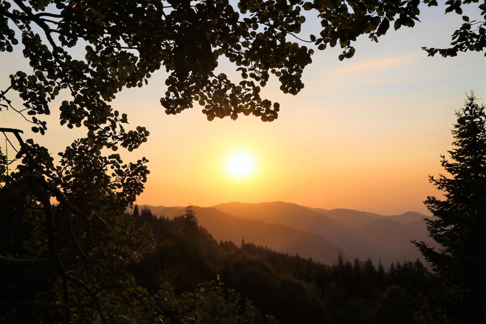 Canon EF 24-105mm F4L IS USM sample photo. Sunset, in the evening photography