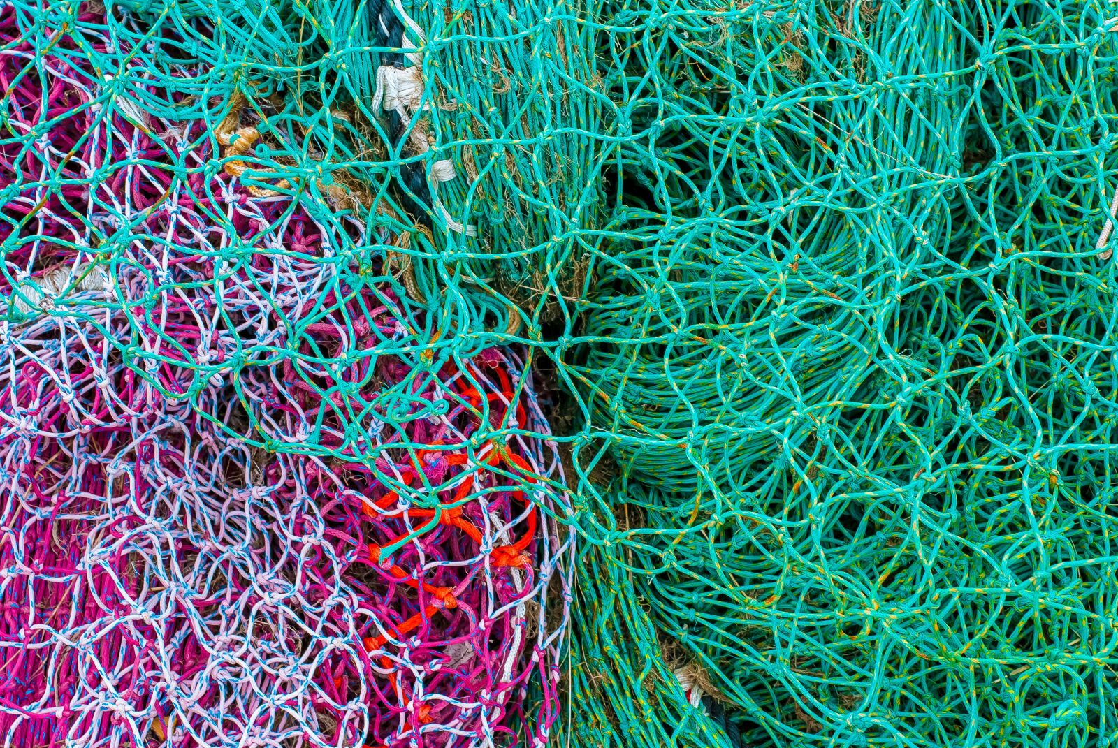 Nikon D80 sample photo. Net, fishing, color photography