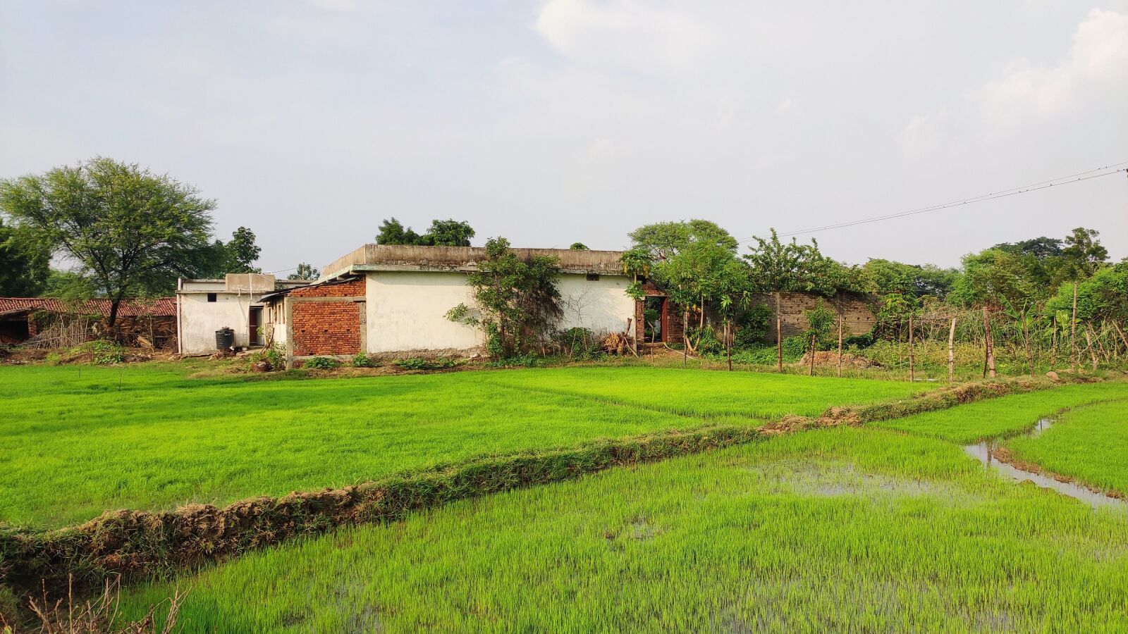 Xiaomi Redmi Note 7 Pro sample photo. Home, farms, wood photography