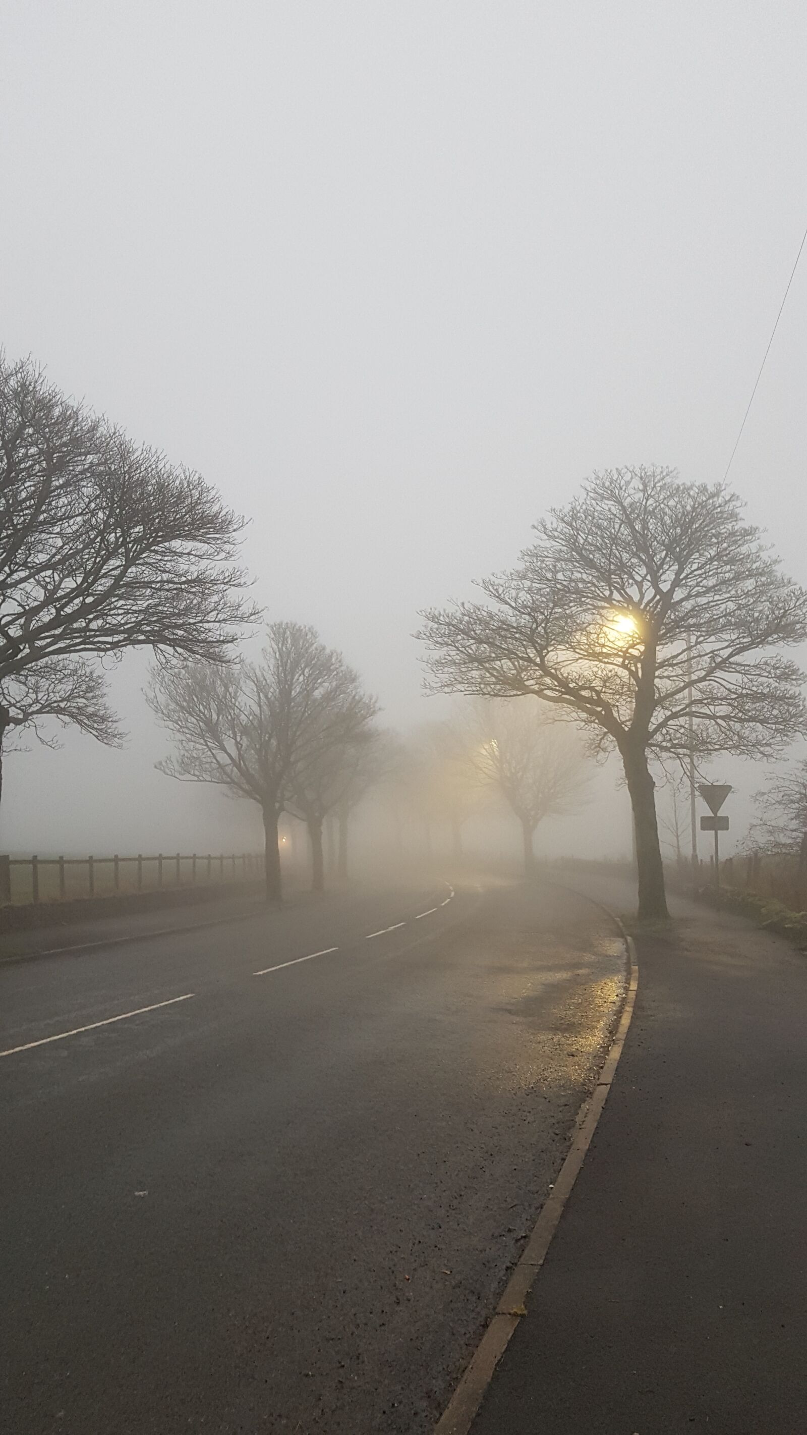 Samsung Galaxy S7 sample photo. Fog, winter, streetlights photography