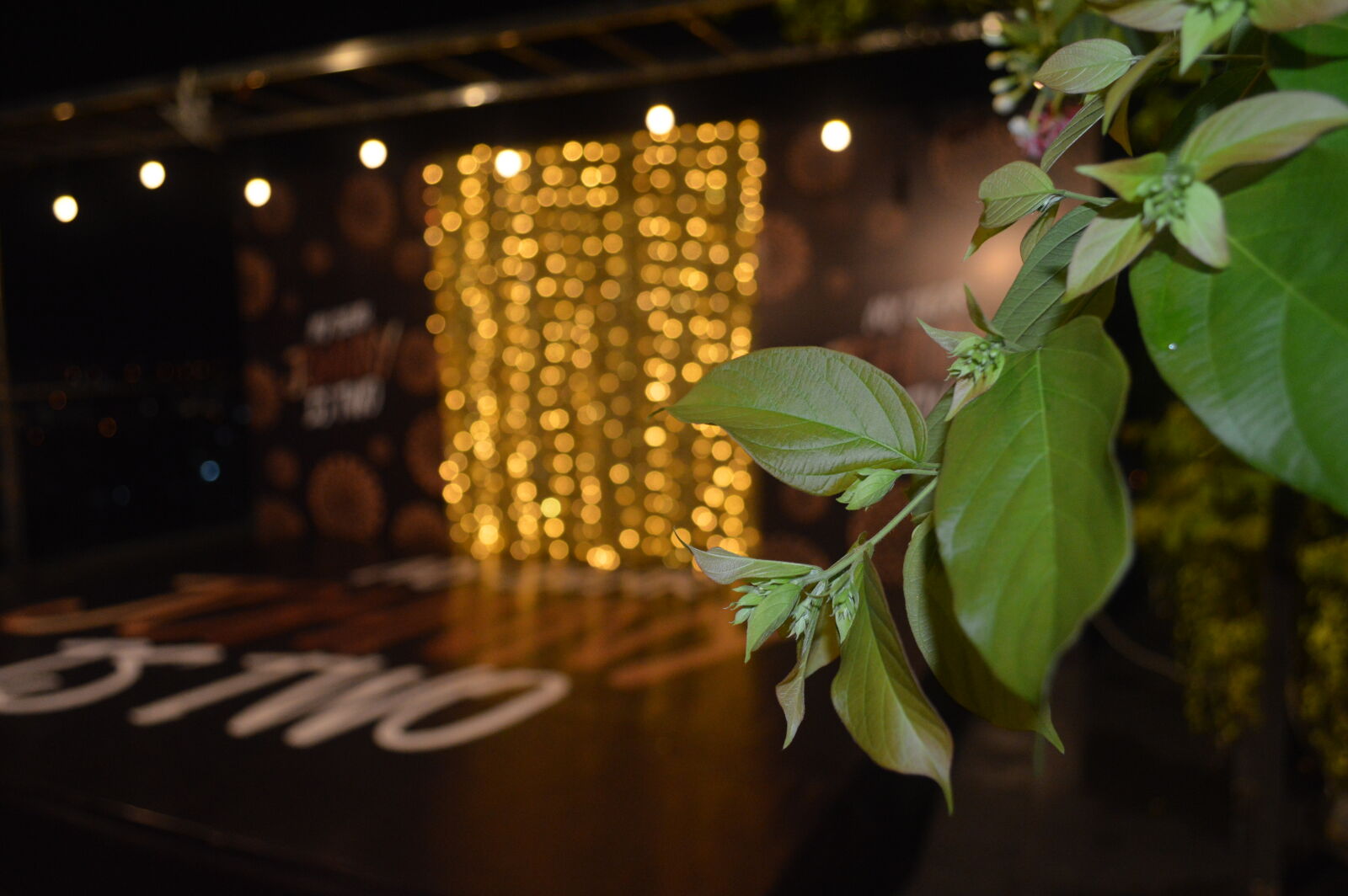 Nikon D3200 sample photo. Iris, sky, bar photography