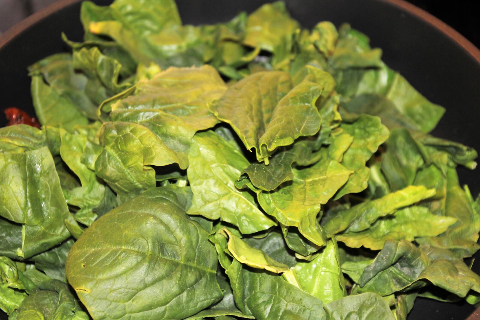 Canon EOS 60D sample photo. Spinach, vegetables, healthy photography