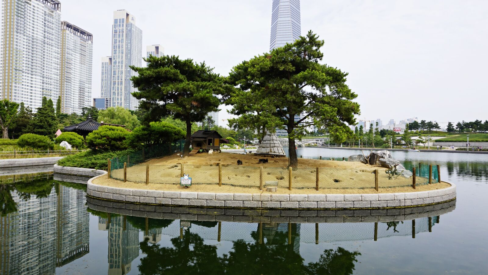 Sony E 16-50mm F3.5-5.6 PZ OSS sample photo. The body of water photography