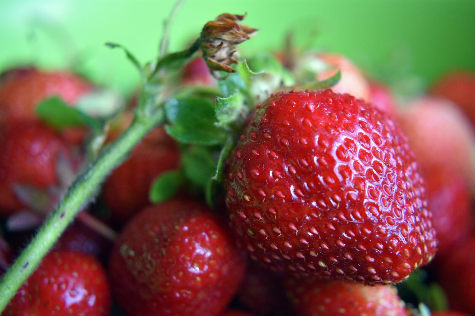 Nikon D3400 sample photo. Strawberries, strawberry, fruit photography