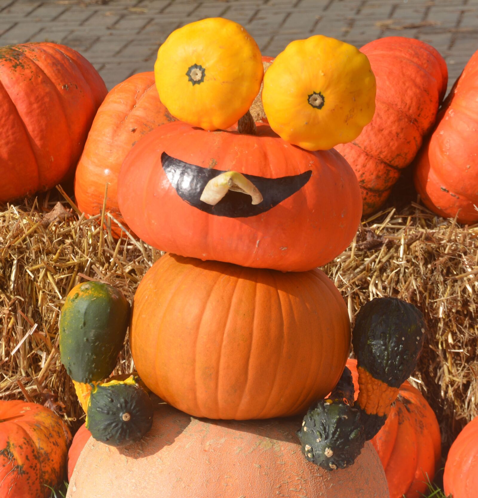 Nikon D5200 sample photo. Decorative pumpkins, autumn decoration photography