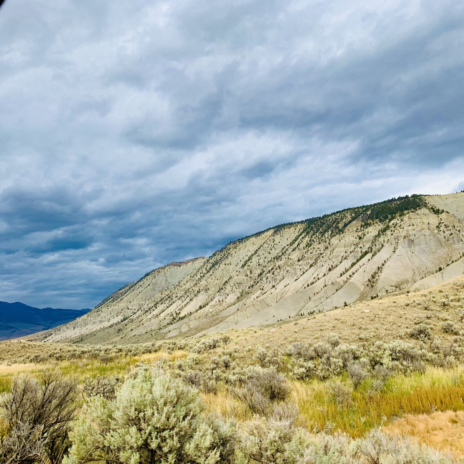 Apple iPhone XS sample photo. Nature, yellowstone, field photography