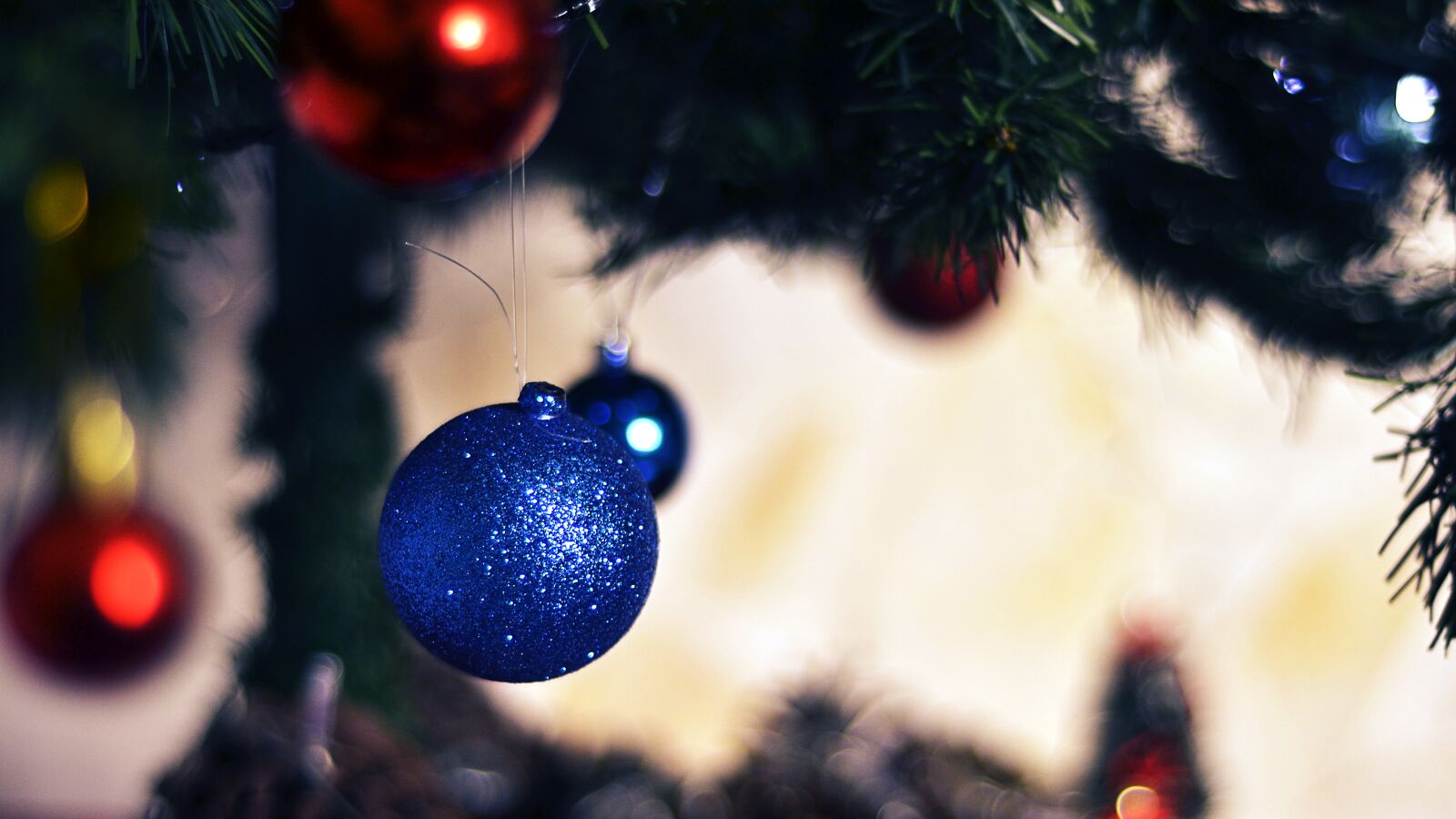Nikon D3100 sample photo. Christmas, christmas tree, december photography