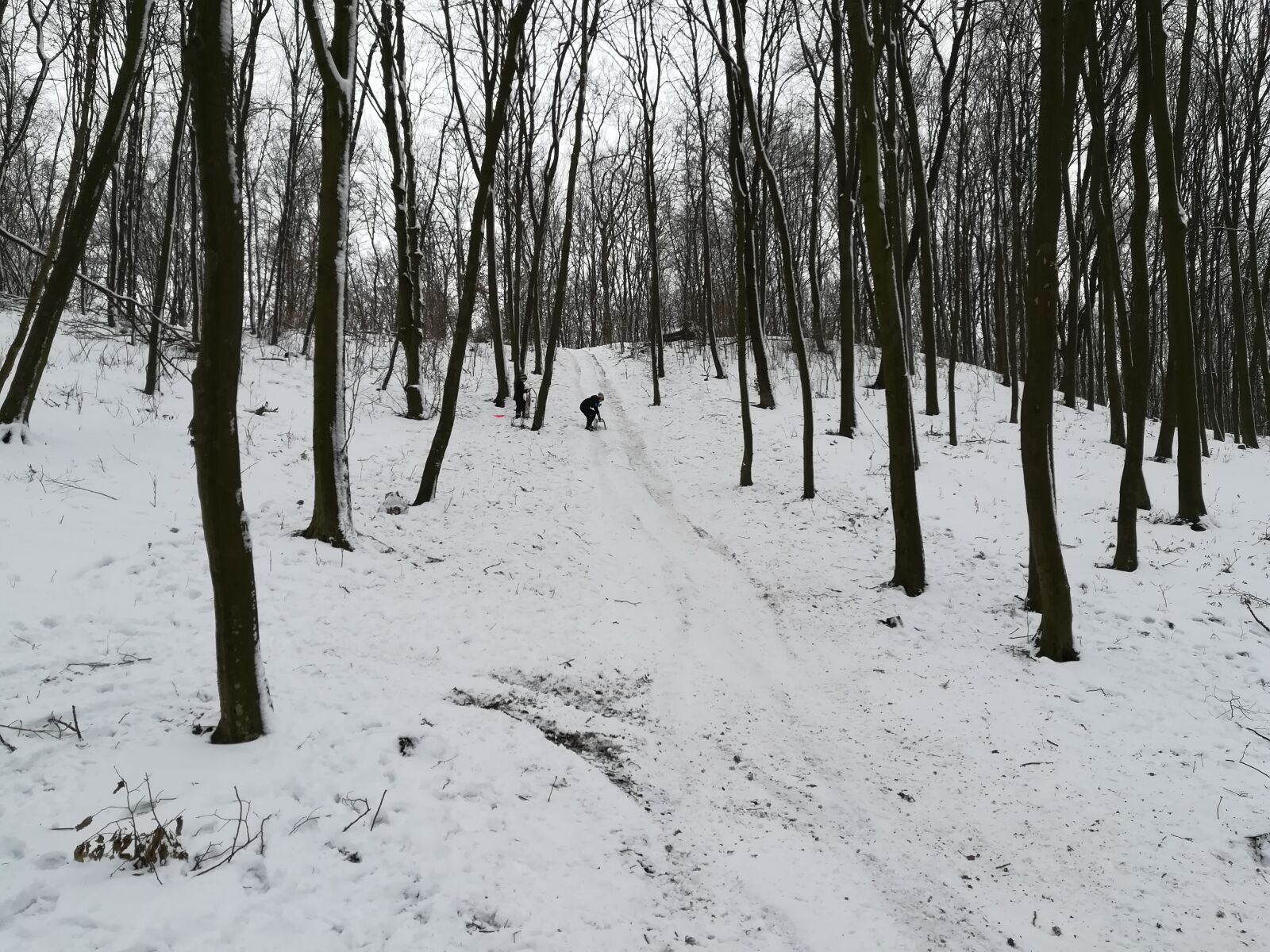 HUAWEI PRA-LX1 sample photo. Winter, forest, snow photography