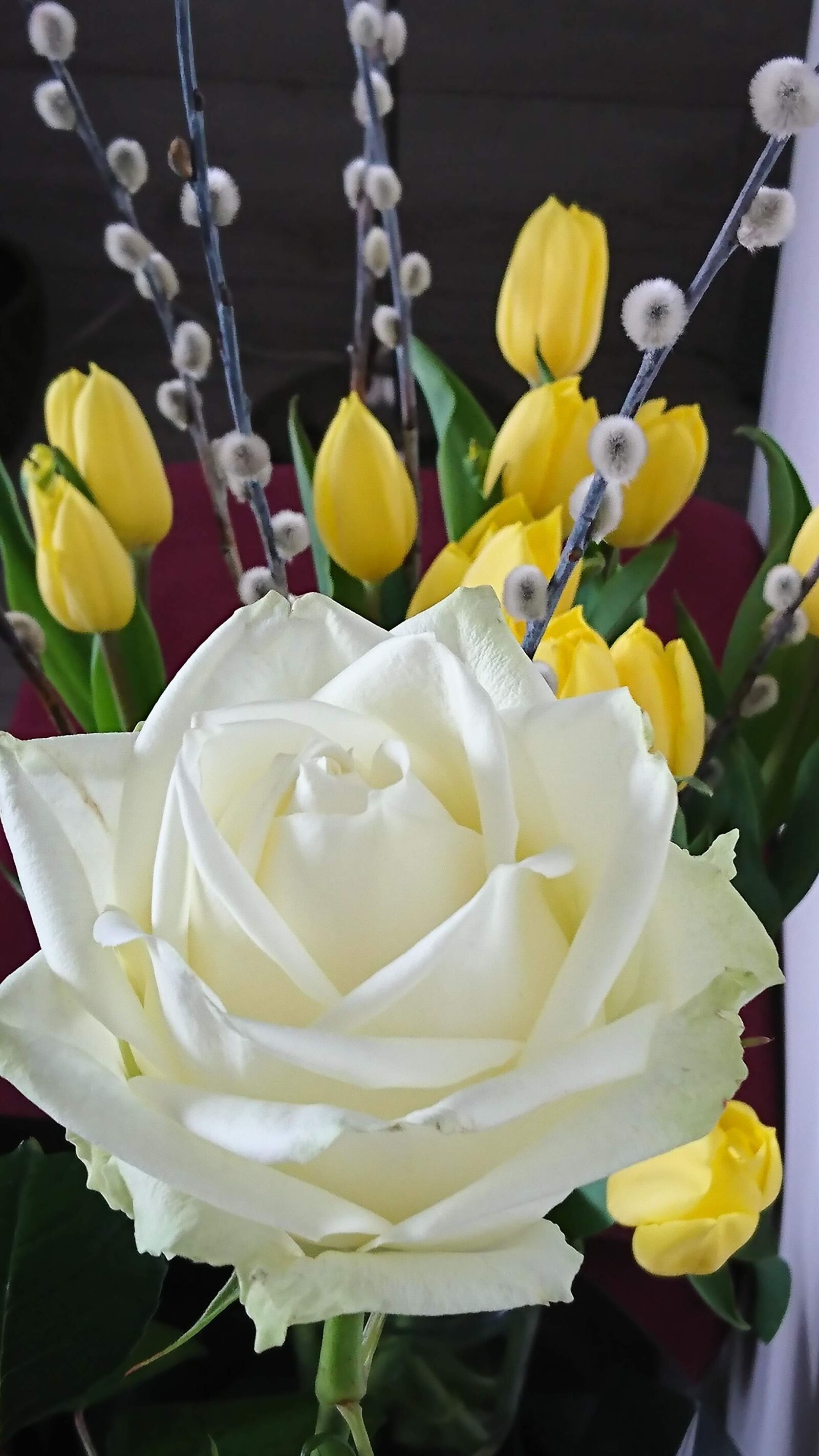 Sony Xperia XZ sample photo. The basis of, easter photography