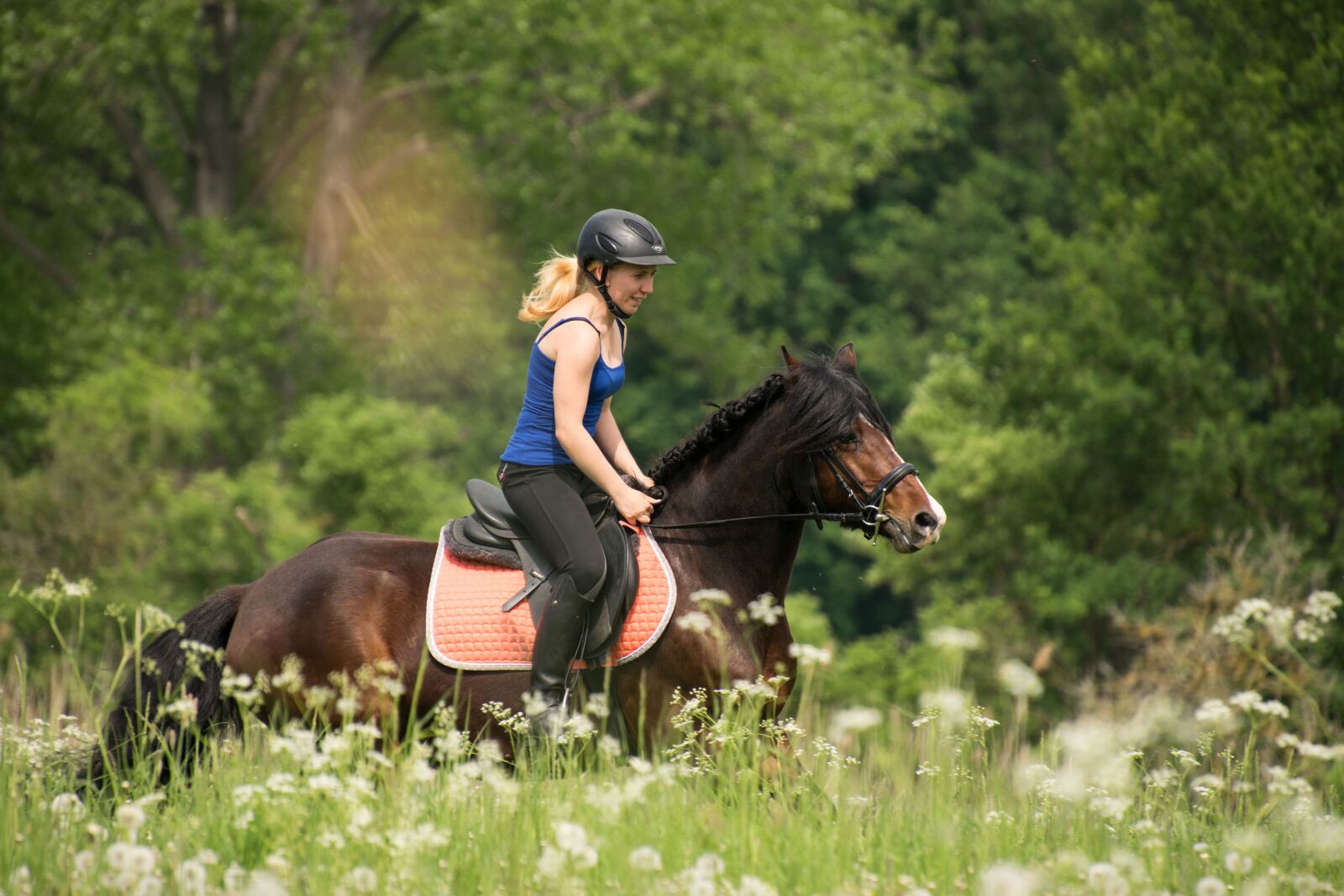 Nikon D3300 sample photo. Reiter, gallop, horse photography