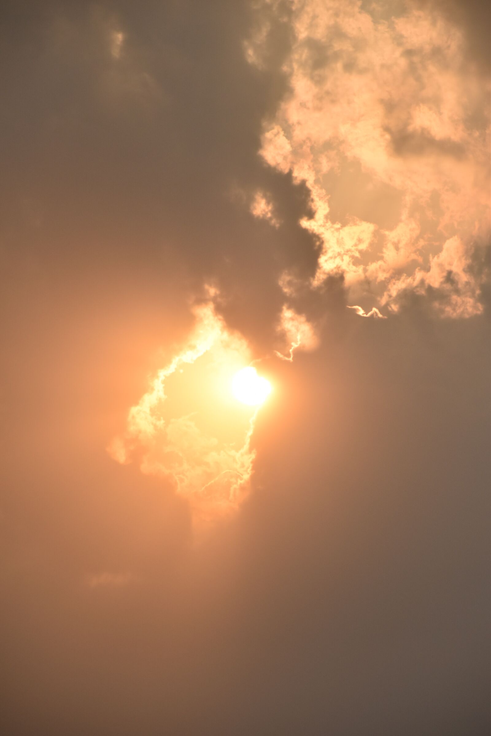 Nikon D3500 sample photo. Sunset, sunny, sunrays photography