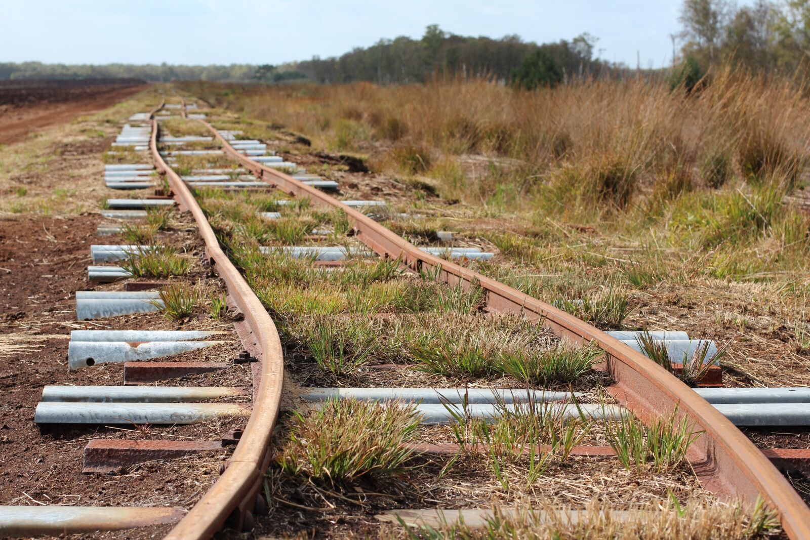 Canon EOS 600D (Rebel EOS T3i / EOS Kiss X5) + Canon EF 50mm F1.4 USM sample photo. Railway rails, rails, track photography