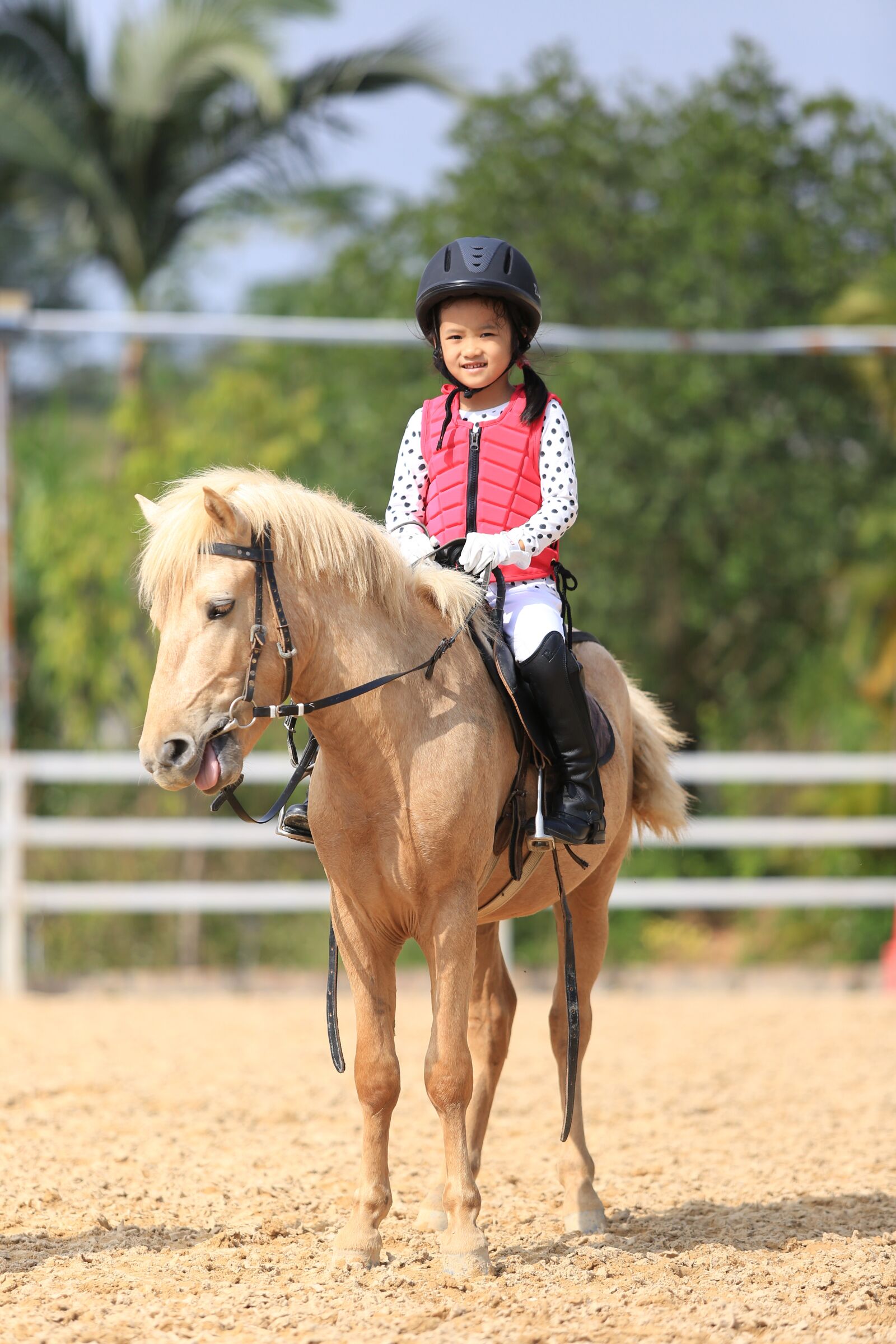 Canon EOS 5D Mark III + Canon EF 70-200mm F2.8L USM sample photo. Child, equestrian, pony horse photography