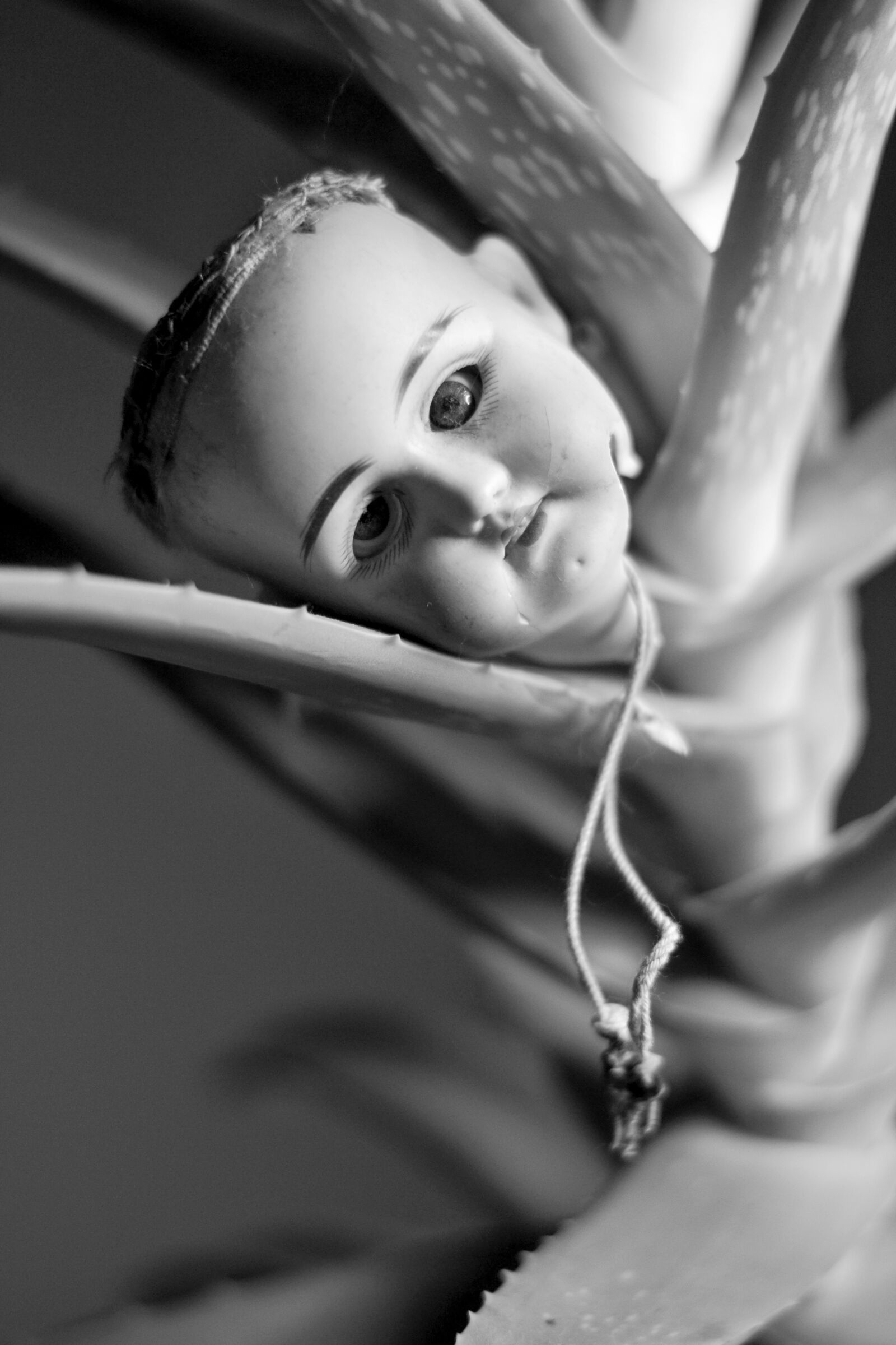 Nikon D3100 sample photo. Doll, doll head, halloween photography