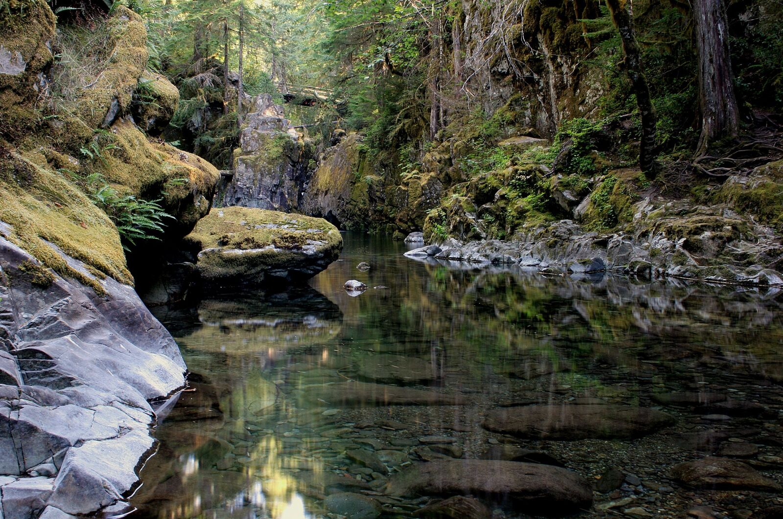Canon EOS 20D sample photo. Reflecting pool, opal creek photography