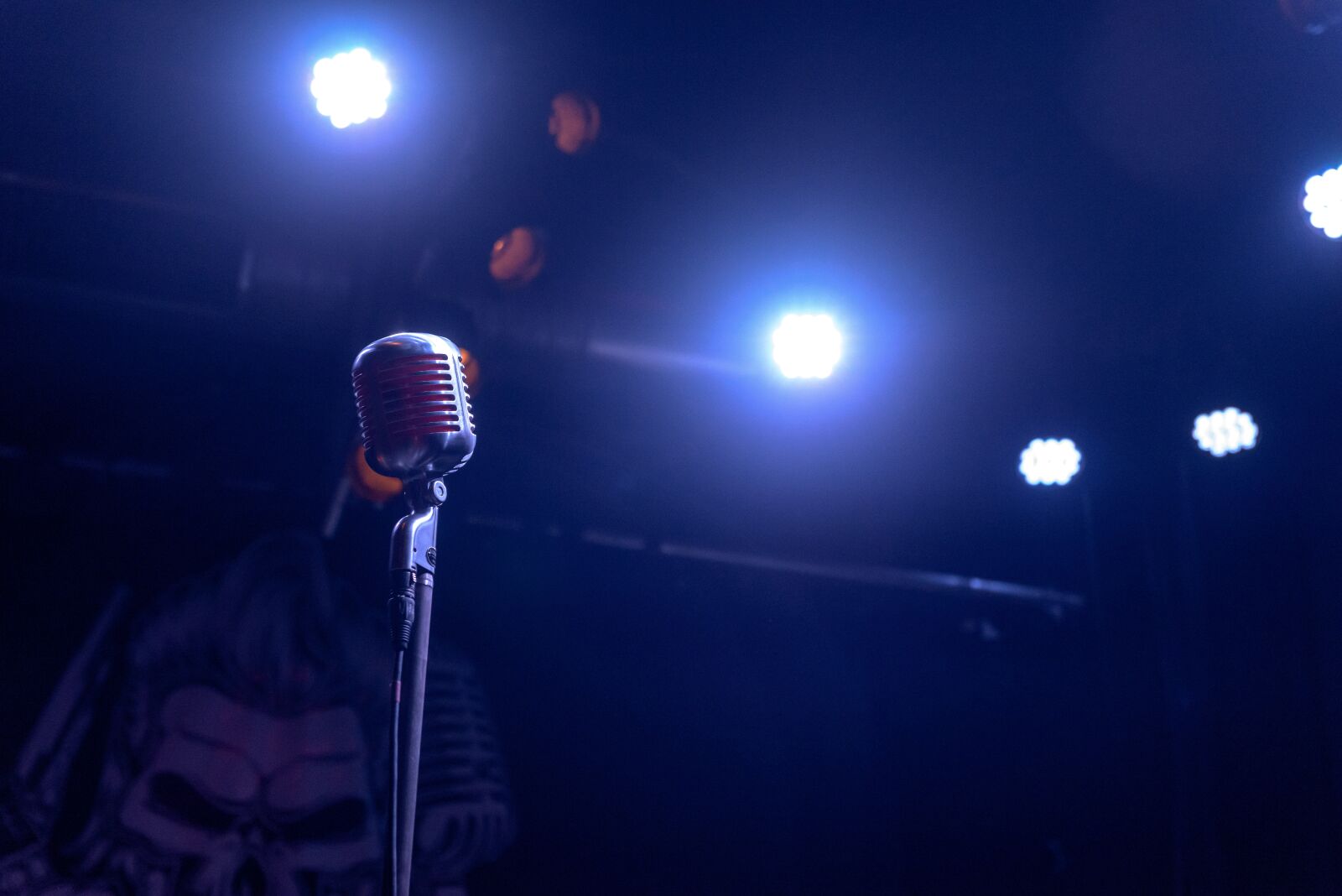 Nikon D800E sample photo. Music, microphone, stage photography