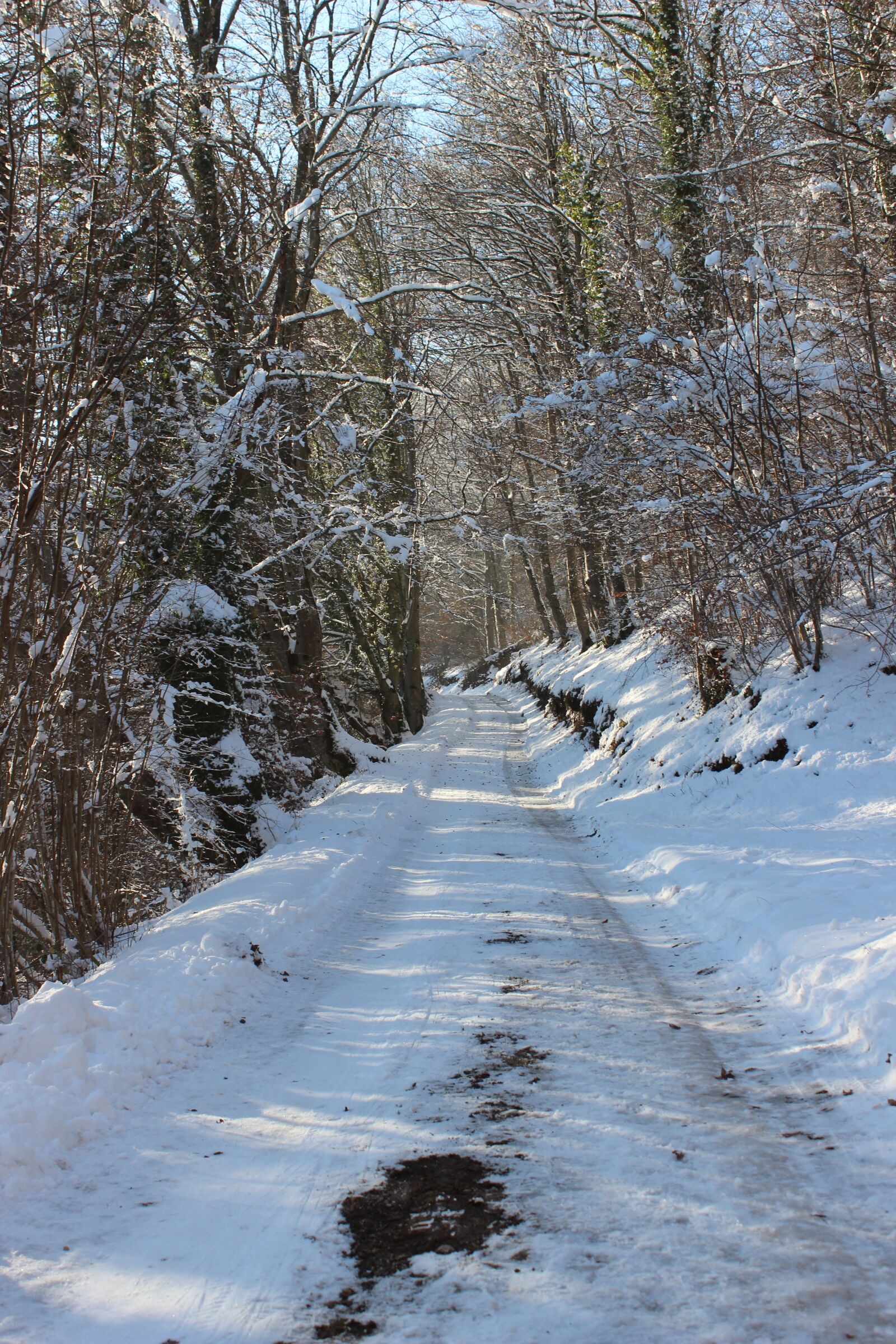 Canon EOS 600D (Rebel EOS T3i / EOS Kiss X5) sample photo. Lane, snow, winter photography