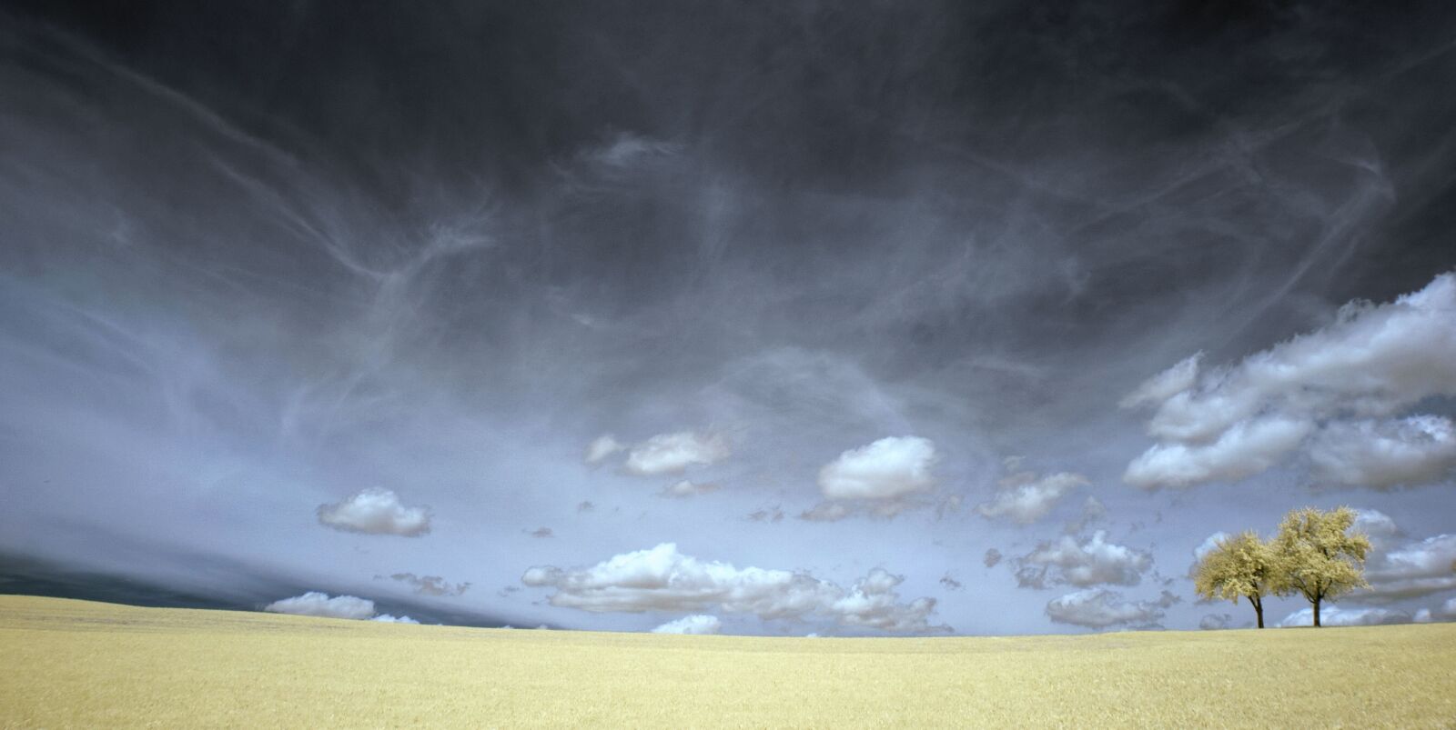 Sony Alpha DSLR-A100 sample photo. Clouds, field, grass photography