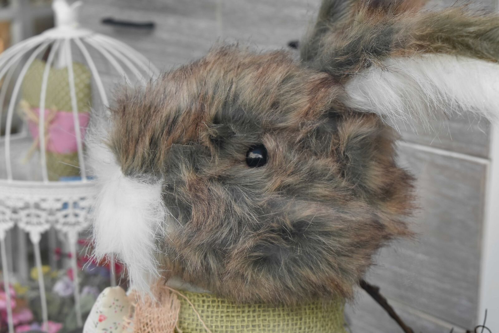 Nikon D5500 sample photo. Decoration, toys, toyshop, fur photography