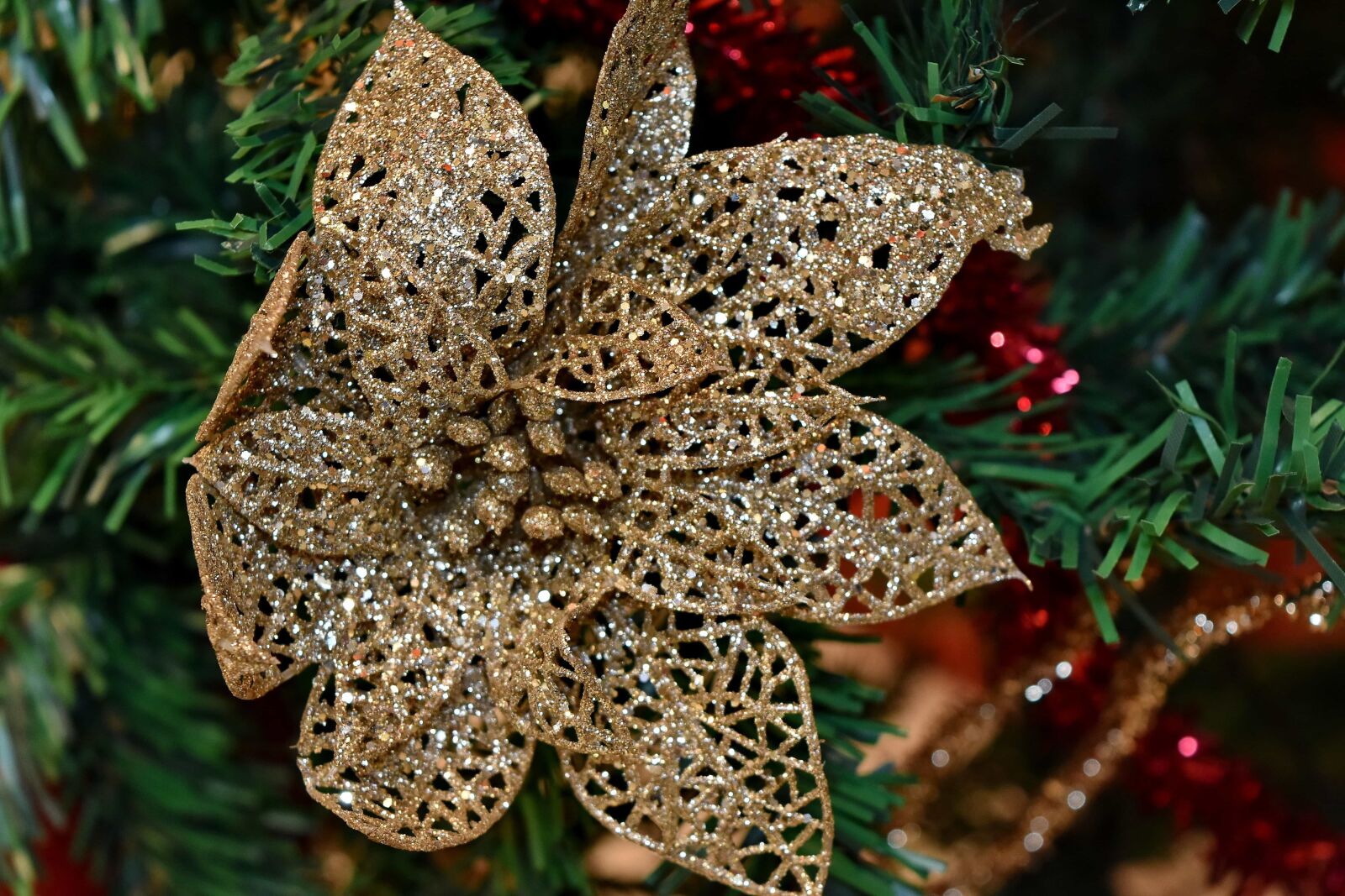 Nikon D5500 sample photo. Christmas, christmas tree, colorful photography