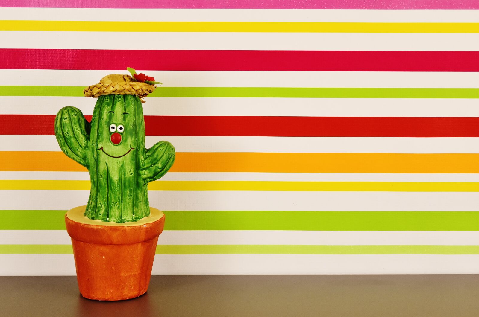 Nikon D7200 sample photo. Cactus, figure, funny photography