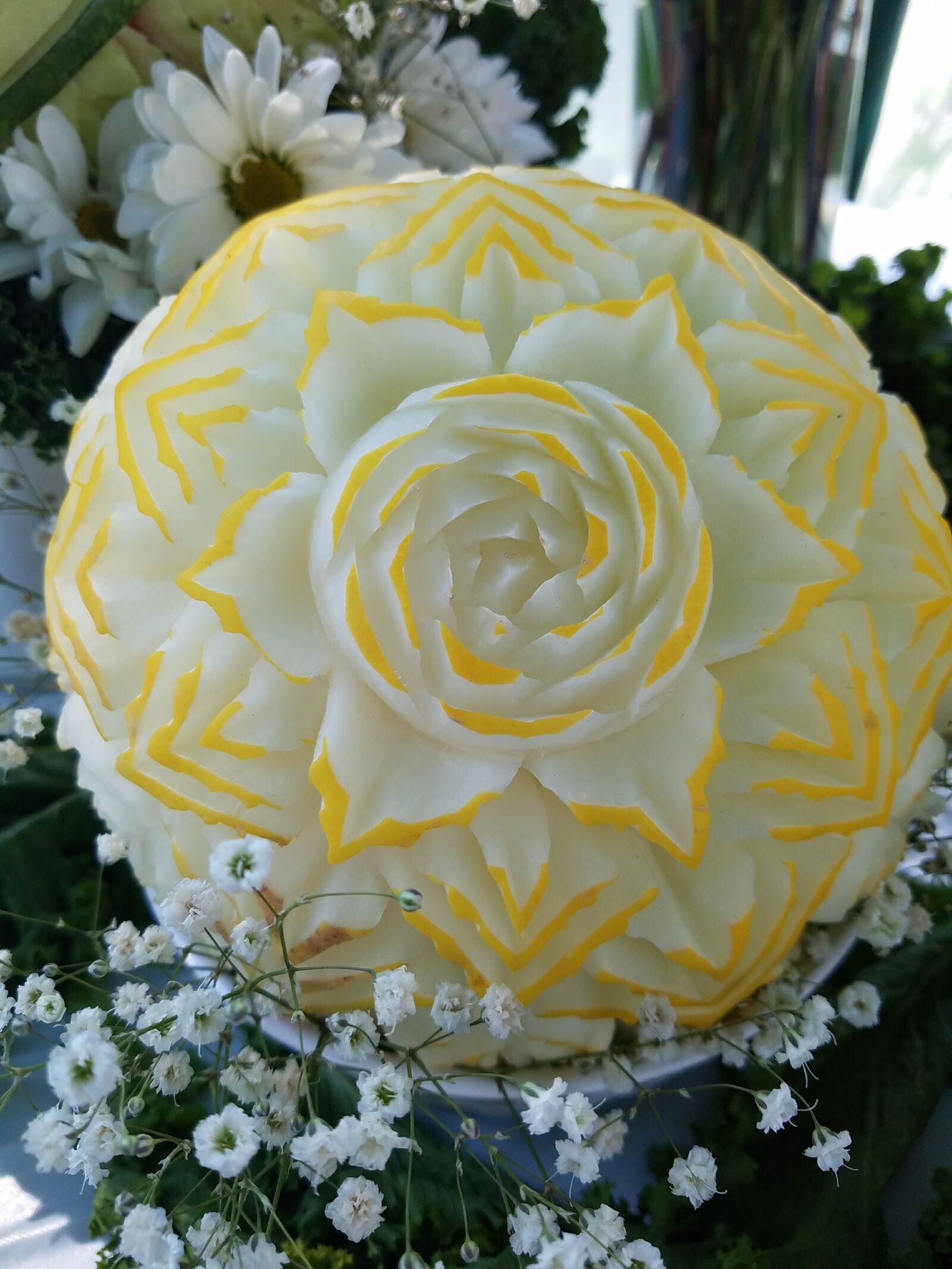 Samsung Galaxy S7 sample photo. Carved golden honeydew, diy photography