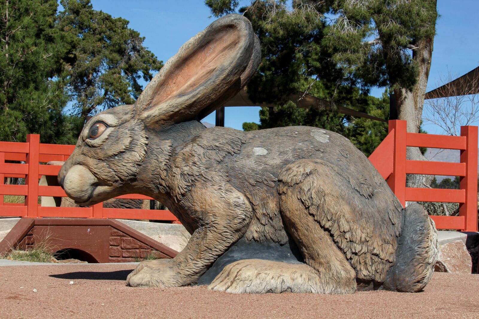 Canon EOS 700D (EOS Rebel T5i / EOS Kiss X7i) sample photo. Rabbit, nature, animal photography