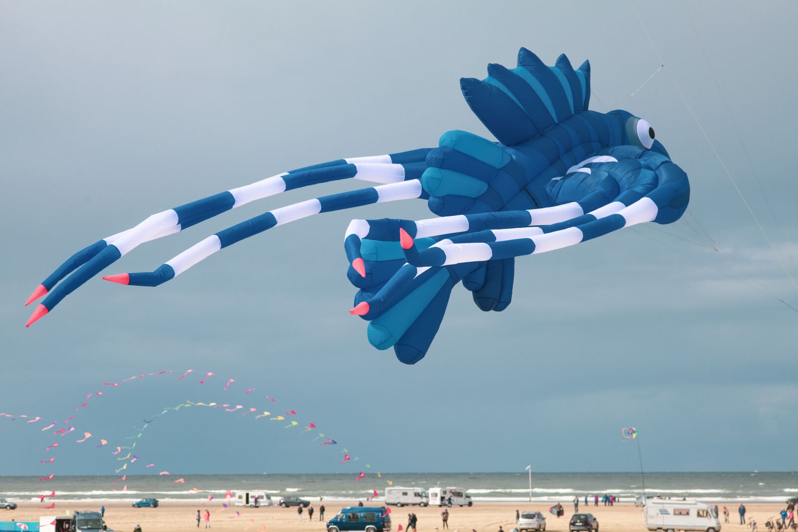Canon EOS 5D Mark II sample photo. Dragon, balloon, beach photography