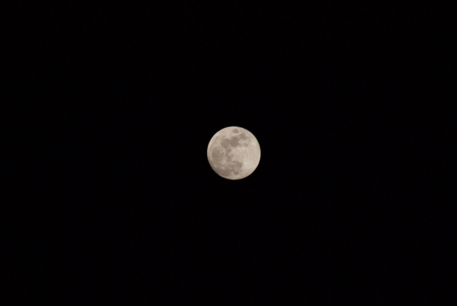 Sony Alpha DSLR-A300 sample photo