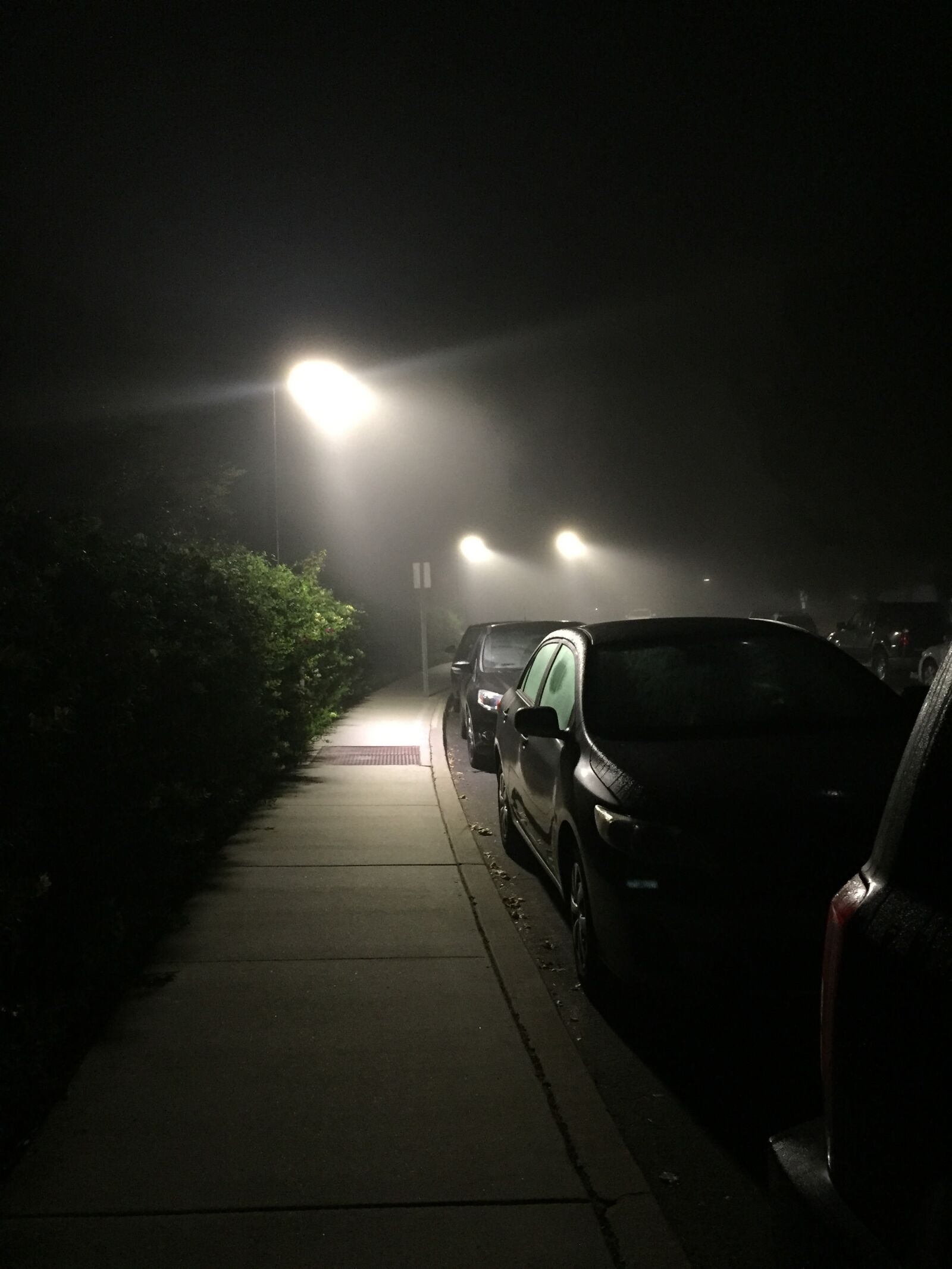 Apple iPhone 6 sample photo. Cars, contrast, fog, foggy photography